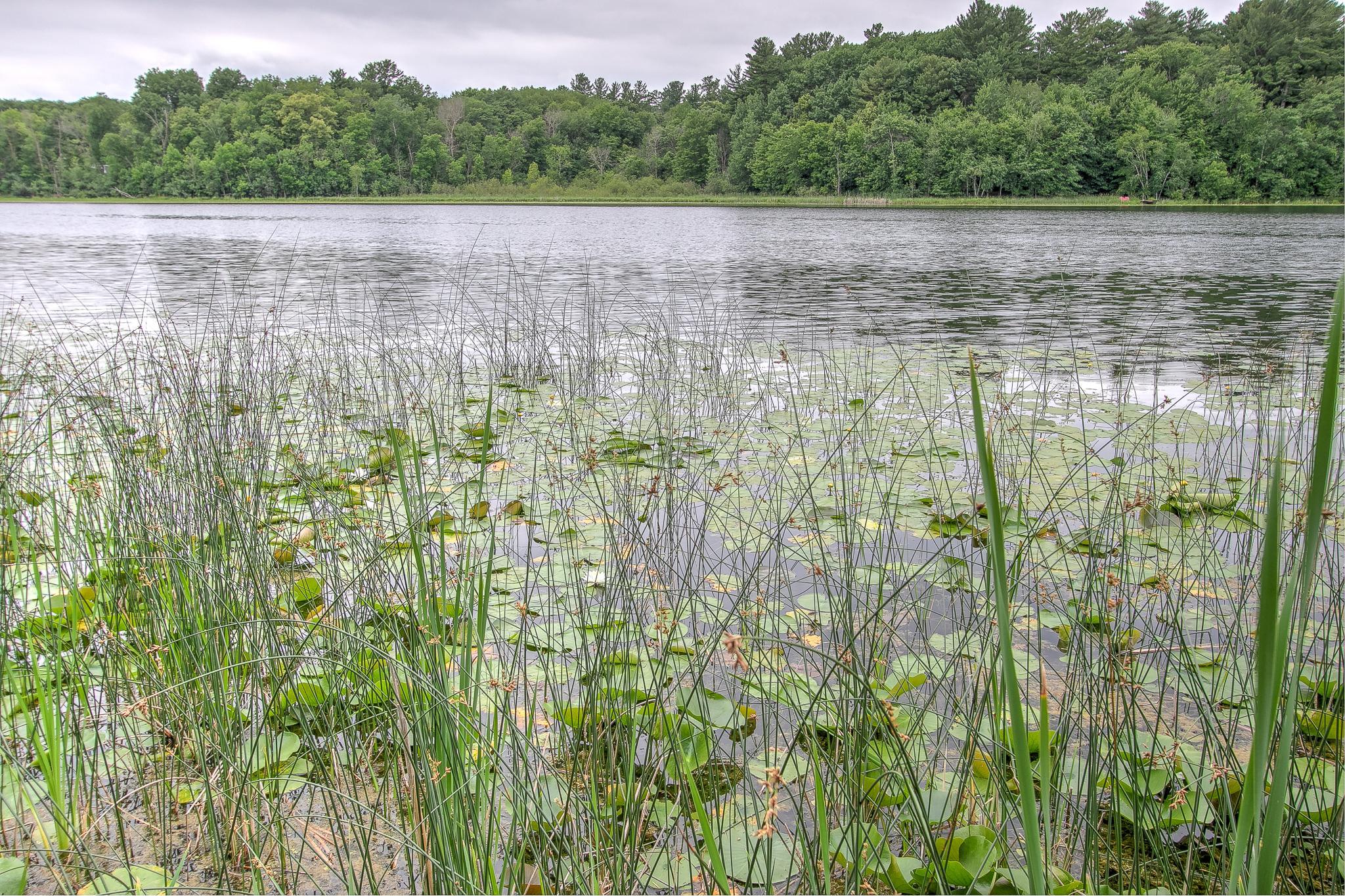 View of Residential at 37306 Fjeldheim Road, Stanchfield MN 55080, Stanchfield (29 of 46) - Mike Wilen | Minnesota Team Real Estate