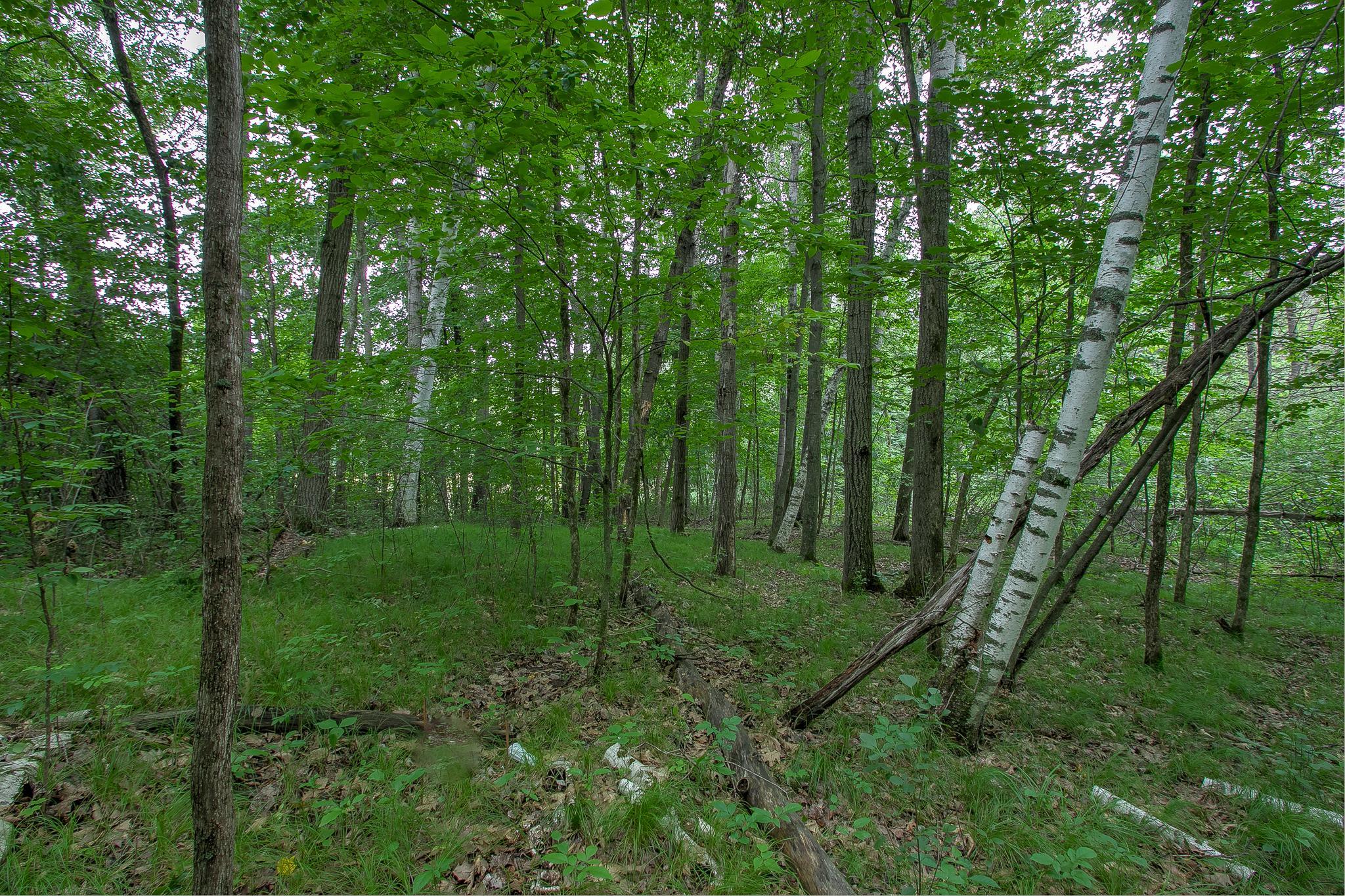 View of Residential at 37306 Fjeldheim Road, Stanchfield MN 55080, Stanchfield (34 of 46) - Mike Wilen | Minnesota Team Real Estate