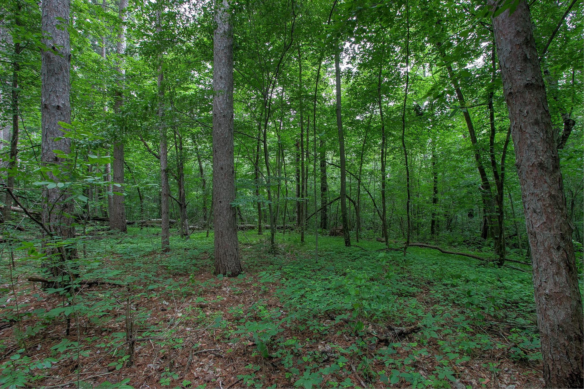 View of Residential at 37306 Fjeldheim Road, Stanchfield MN 55080, Stanchfield (33 of 46) - Mike Wilen | Minnesota Team Real Estate