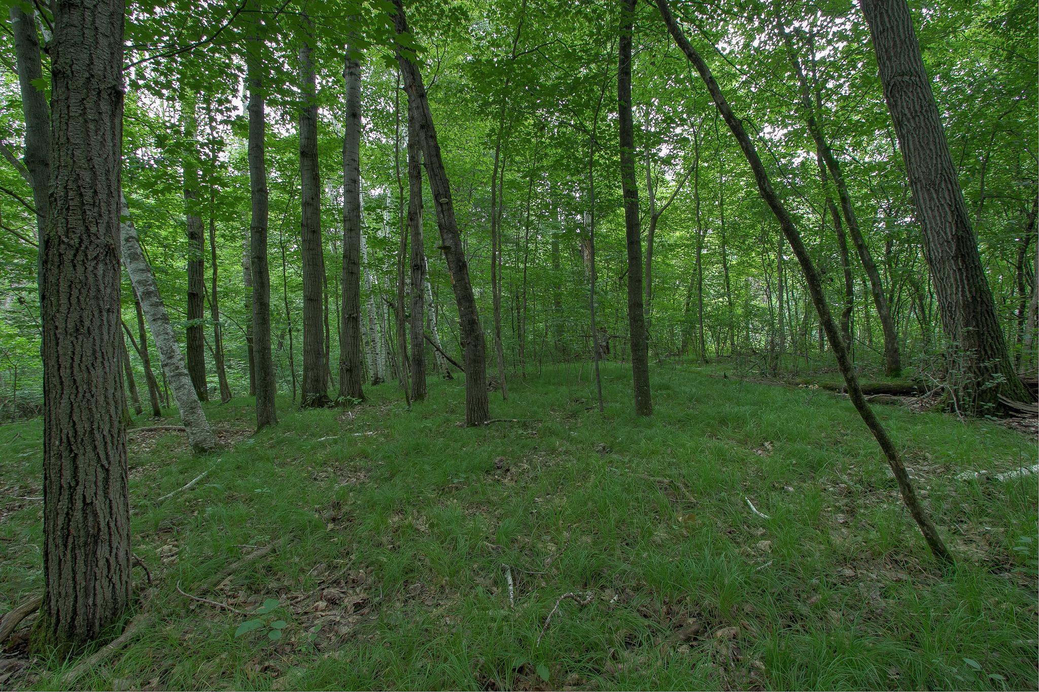 View of Residential at 37306 Fjeldheim Road, Stanchfield MN 55080, Stanchfield (31 of 46) - Mike Wilen | Minnesota Team Real Estate