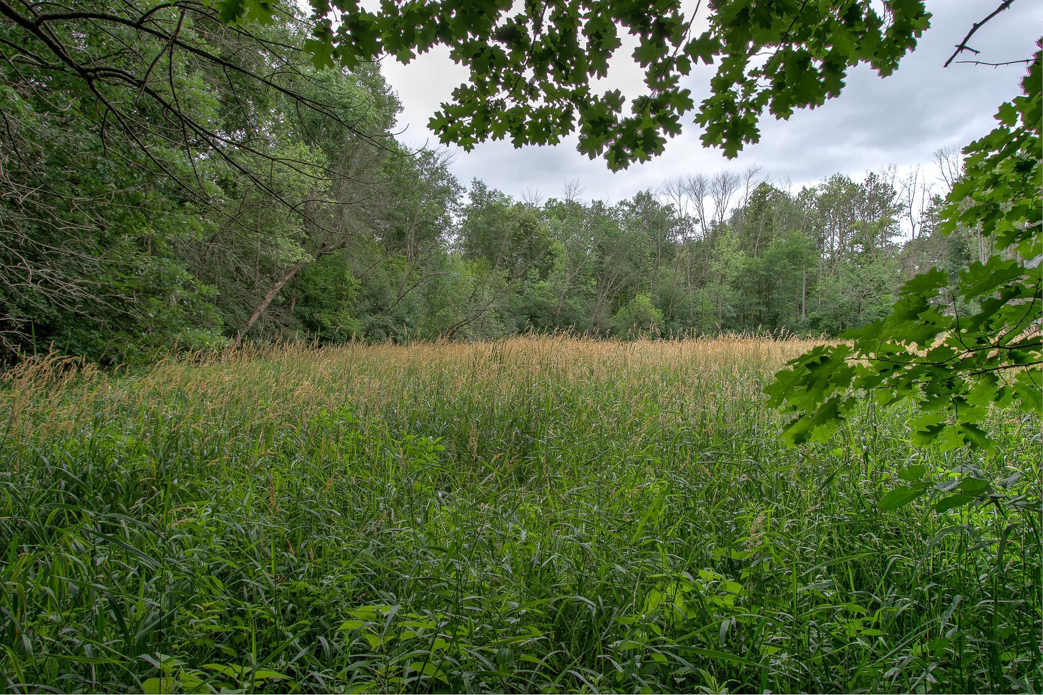 View of Residential at 37306 Fjeldheim Road, Stanchfield MN 55080, Stanchfield (30 of 46) - Mike Wilen | Minnesota Team Real Estate