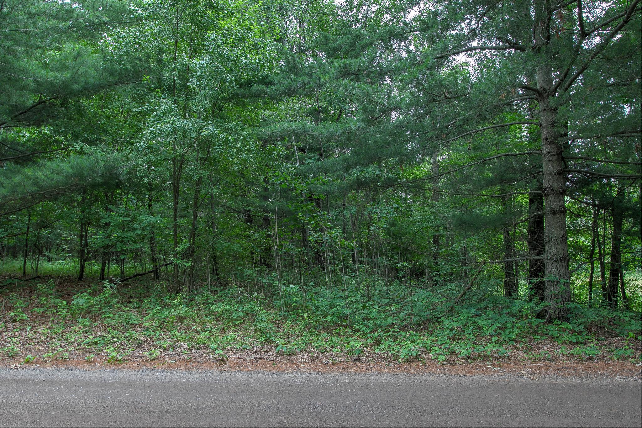 View of Residential at 37306 Fjeldheim Road, Stanchfield MN 55080, Stanchfield (40 of 46) - Mike Wilen | Minnesota Team Real Estate