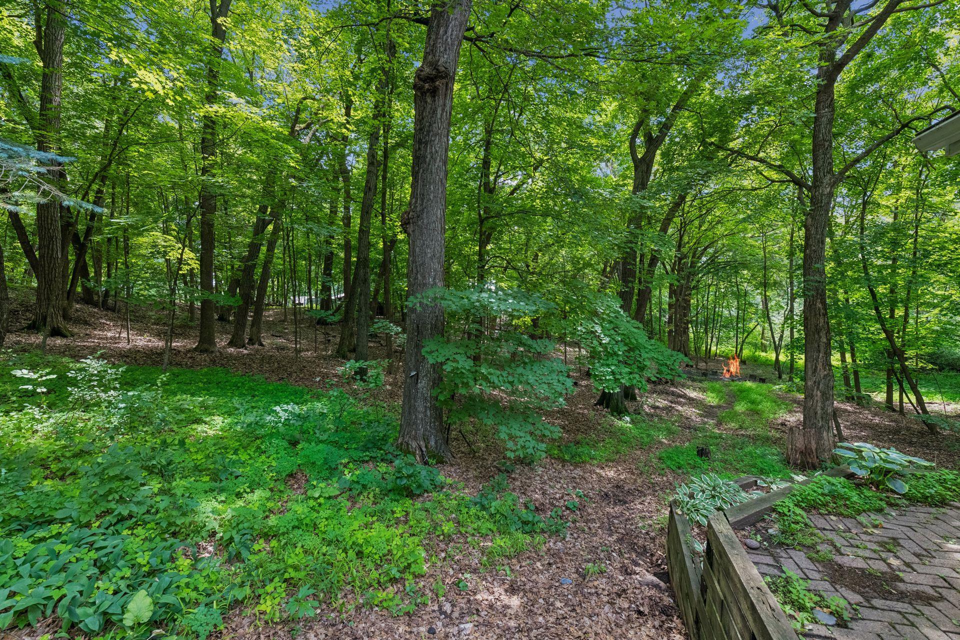 View of Residential at 4730 Arm Drive, Orono MN 55364, Orono (42 of 51) - Mike Wilen | Minnesota Team Real Estate