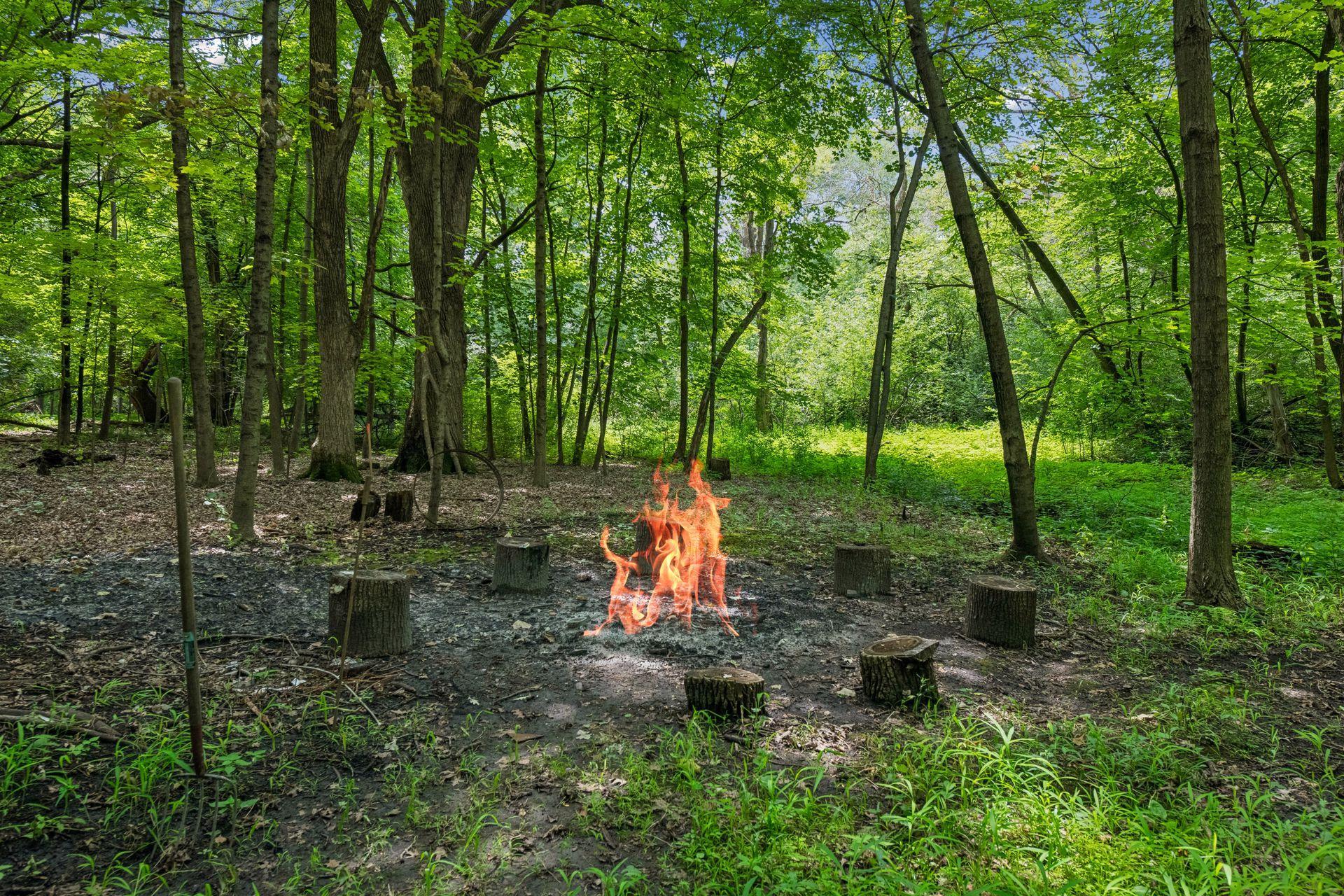 View of Residential at 4730 Arm Drive, Orono MN 55364, Orono (40 of 51) - Mike Wilen | Minnesota Team Real Estate