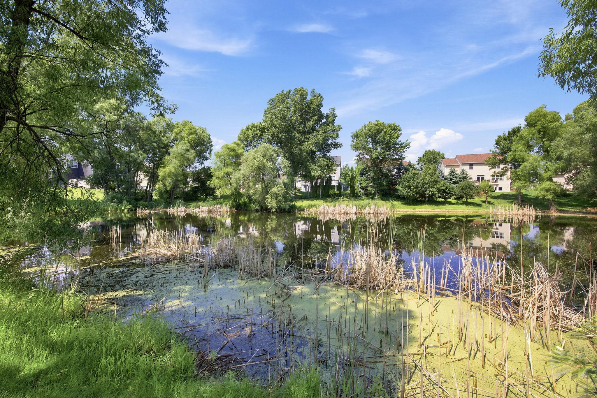 View of Residential at 1020 Creekwood Drive, Champlin MN 55316, Champlin (33 of 43) - Mike Wilen | Minnesota Team Real Estate