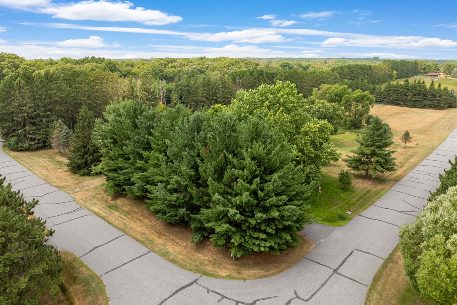 View of Residential at 19010 Albatross Street, Cedar MN 55011, Cedar (65 of 91) - Mike Wilen | Minnesota Team Real Estate