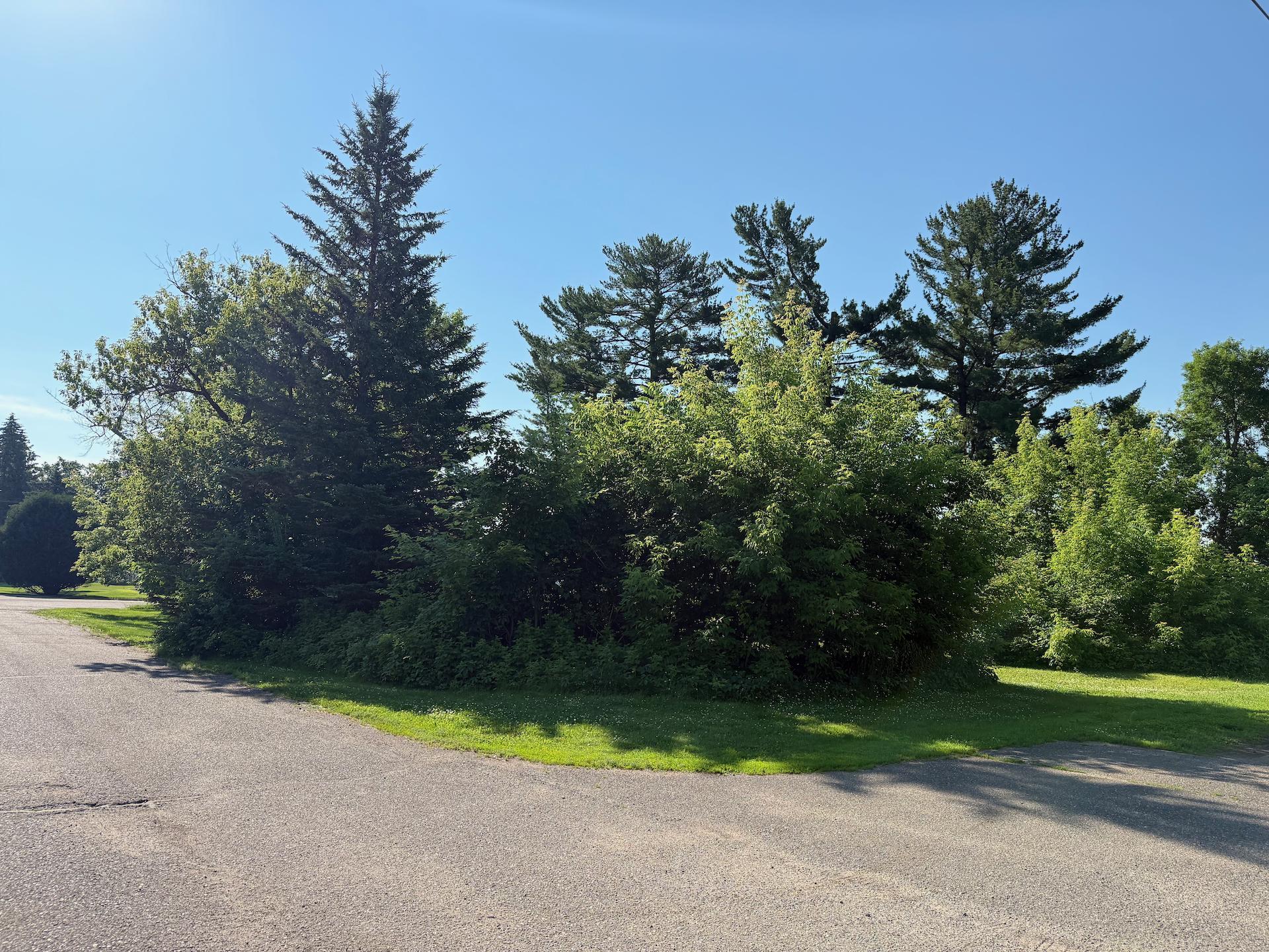 View of Land at 105 Pine Street, Onamia MN 56359, Onamia (10 of 10) - Mike Wilen | Minnesota Team Real Estate
