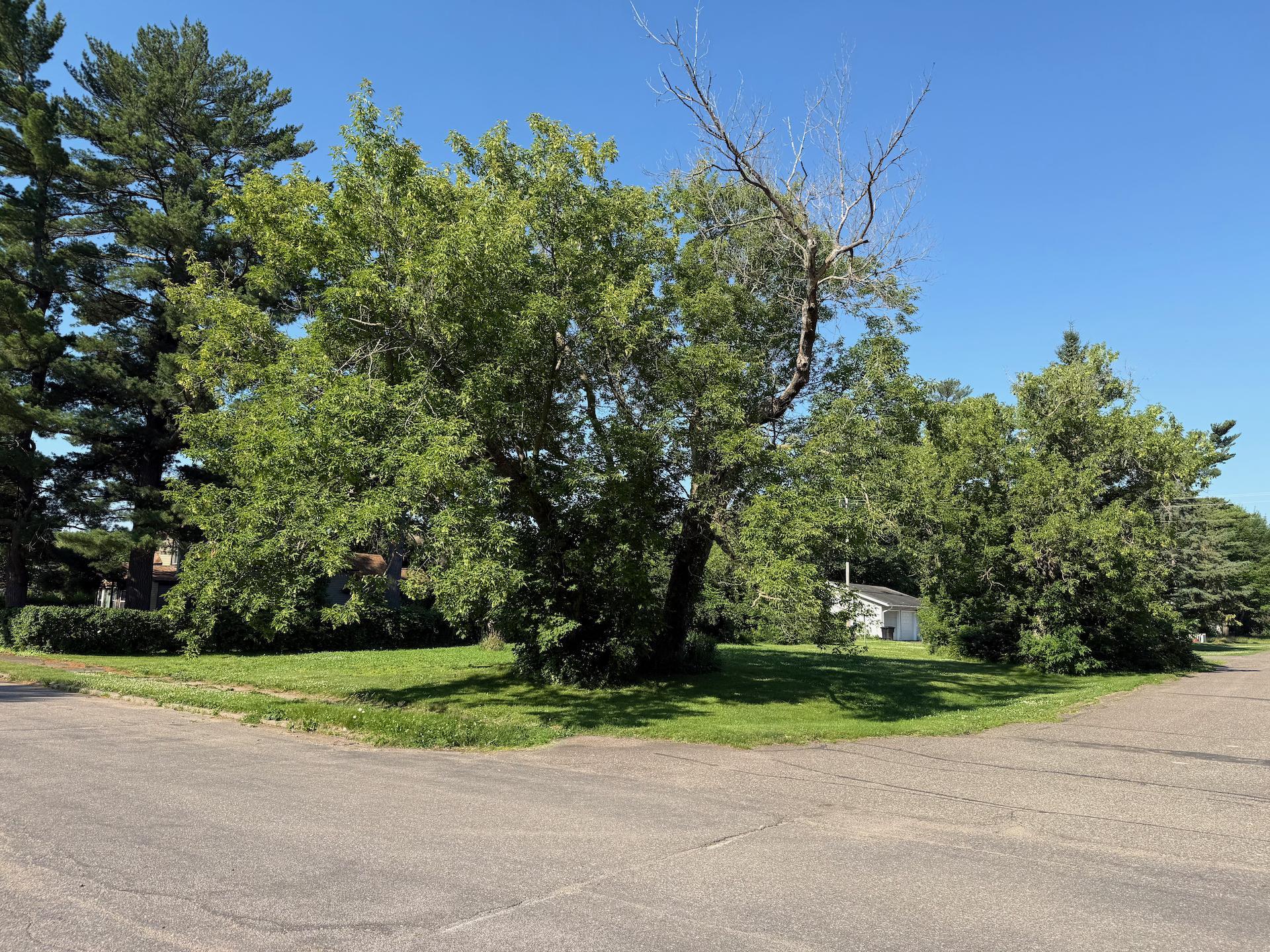 View of Land at 105 Pine Street, Onamia MN 56359, Onamia (9 of 10) - Mike Wilen | Minnesota Team Real Estate