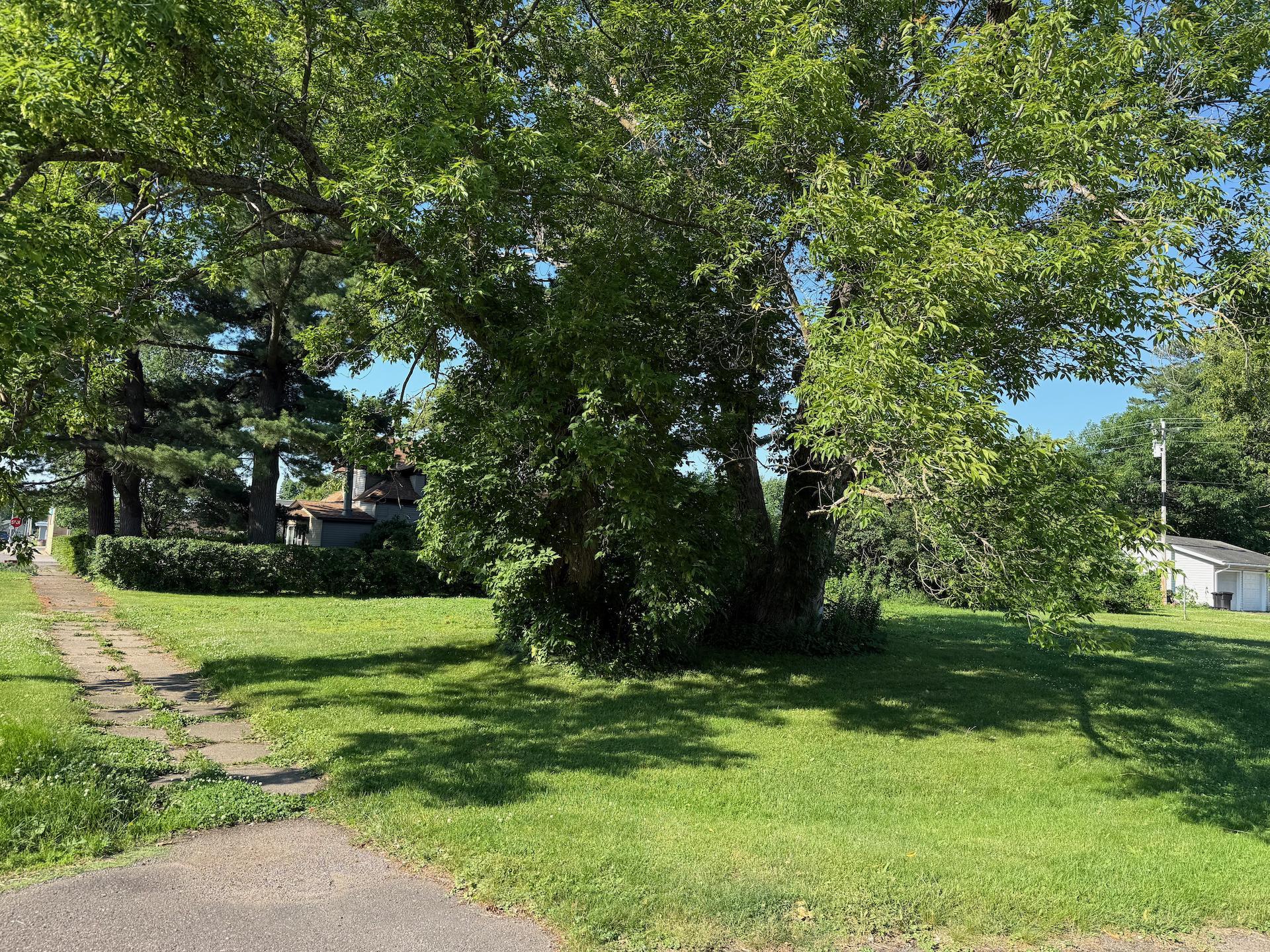 View of Land at 105 Pine Street, Onamia MN 56359, Onamia (3 of 10) - Mike Wilen | Minnesota Team Real Estate