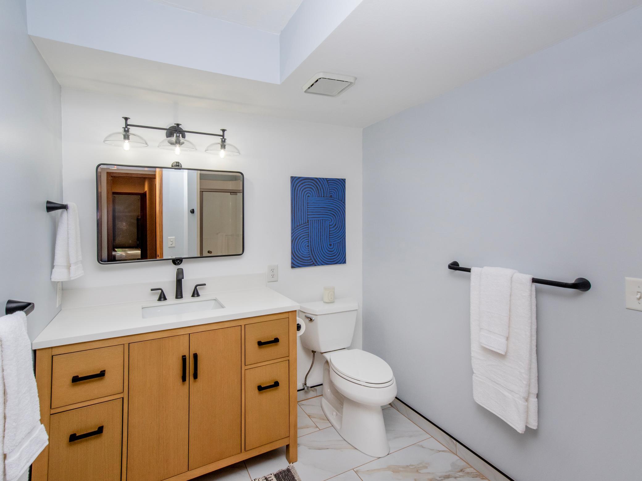 View of Residential at 13900 Hill Ridge Drive, Hopkins MN 55305, Hopkins (56 of 65) - Mike Wilen | Minnesota Team Real Estate