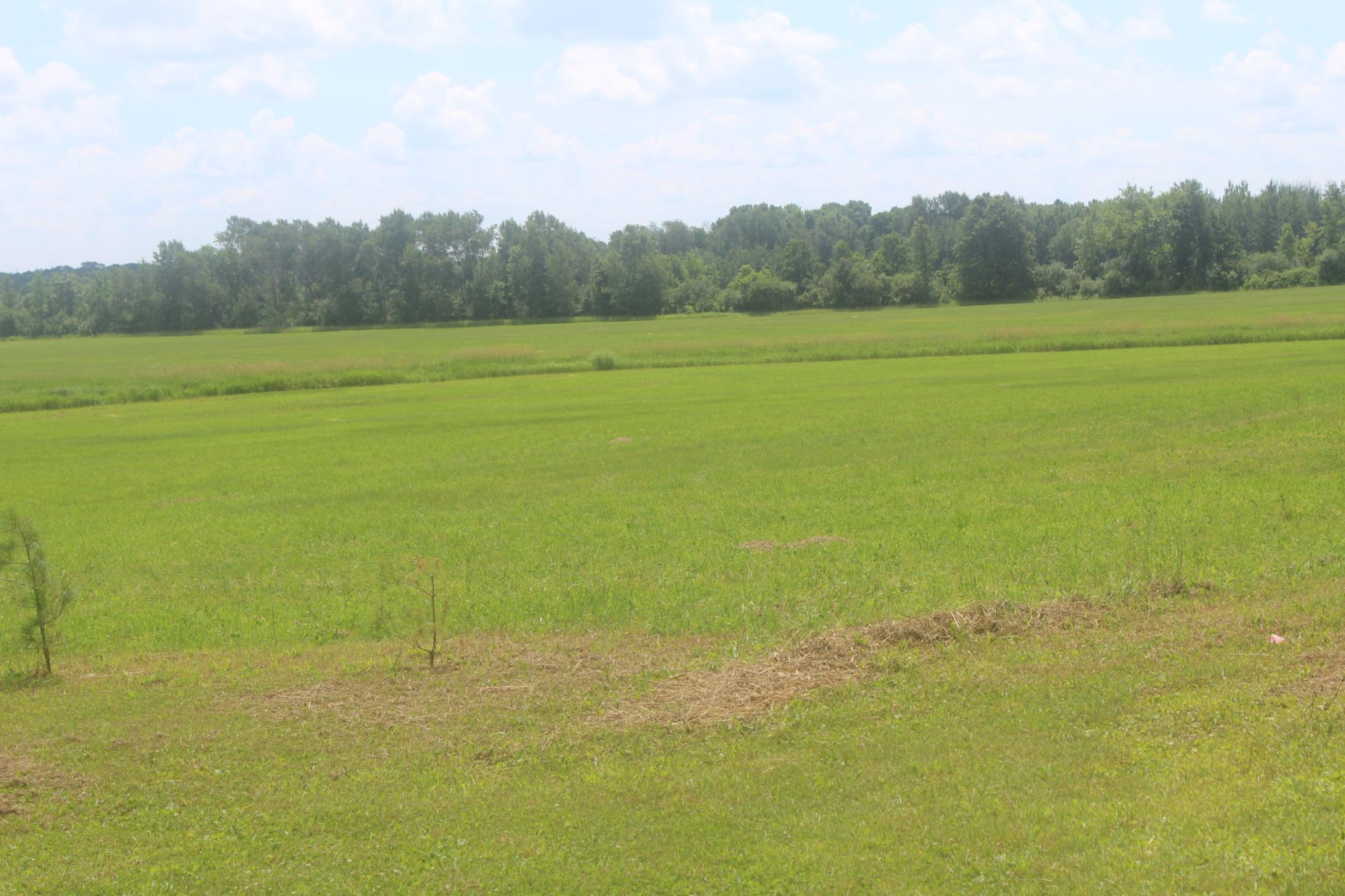 View of Land at 14xxx Green Meadow Road, Milaca MN 56353, Milaca (5 of 12) - Mike Wilen | Minnesota Team Real Estate