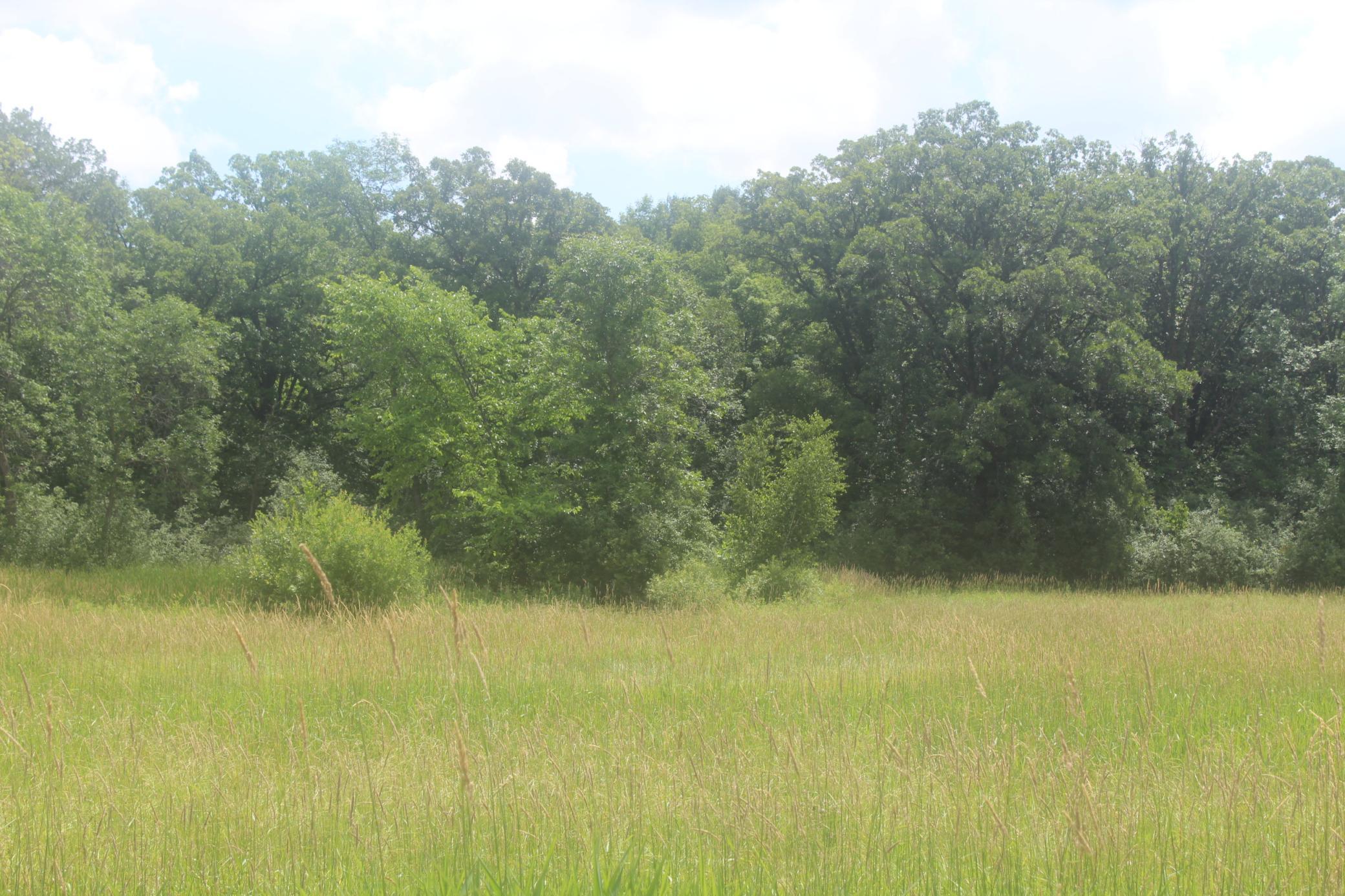 View of Land at 14xxx Green Meadow Road, Milaca - Mike Wilen | Minnesota Team Real Estate
