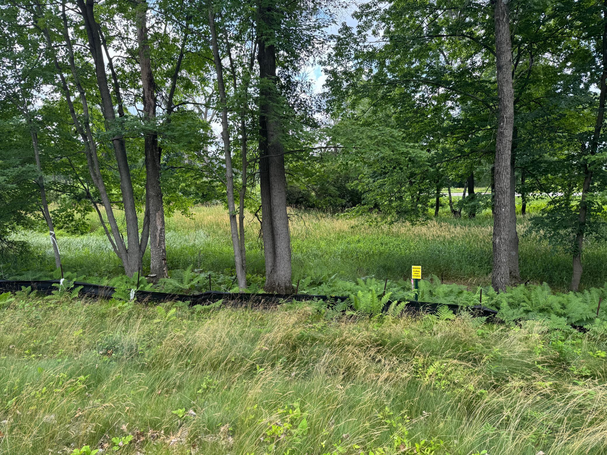 View of Land at 355 176th Lane, Ham Lake MN 55304, Ham Lake (11 of 12) - Mike Wilen | Minnesota Team Real Estate