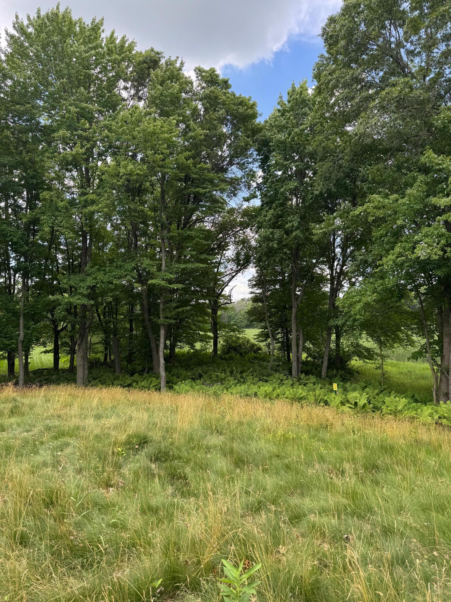 View of Land at 355 176th Lane, Ham Lake MN 55304, Ham Lake (10 of 12) - Mike Wilen | Minnesota Team Real Estate