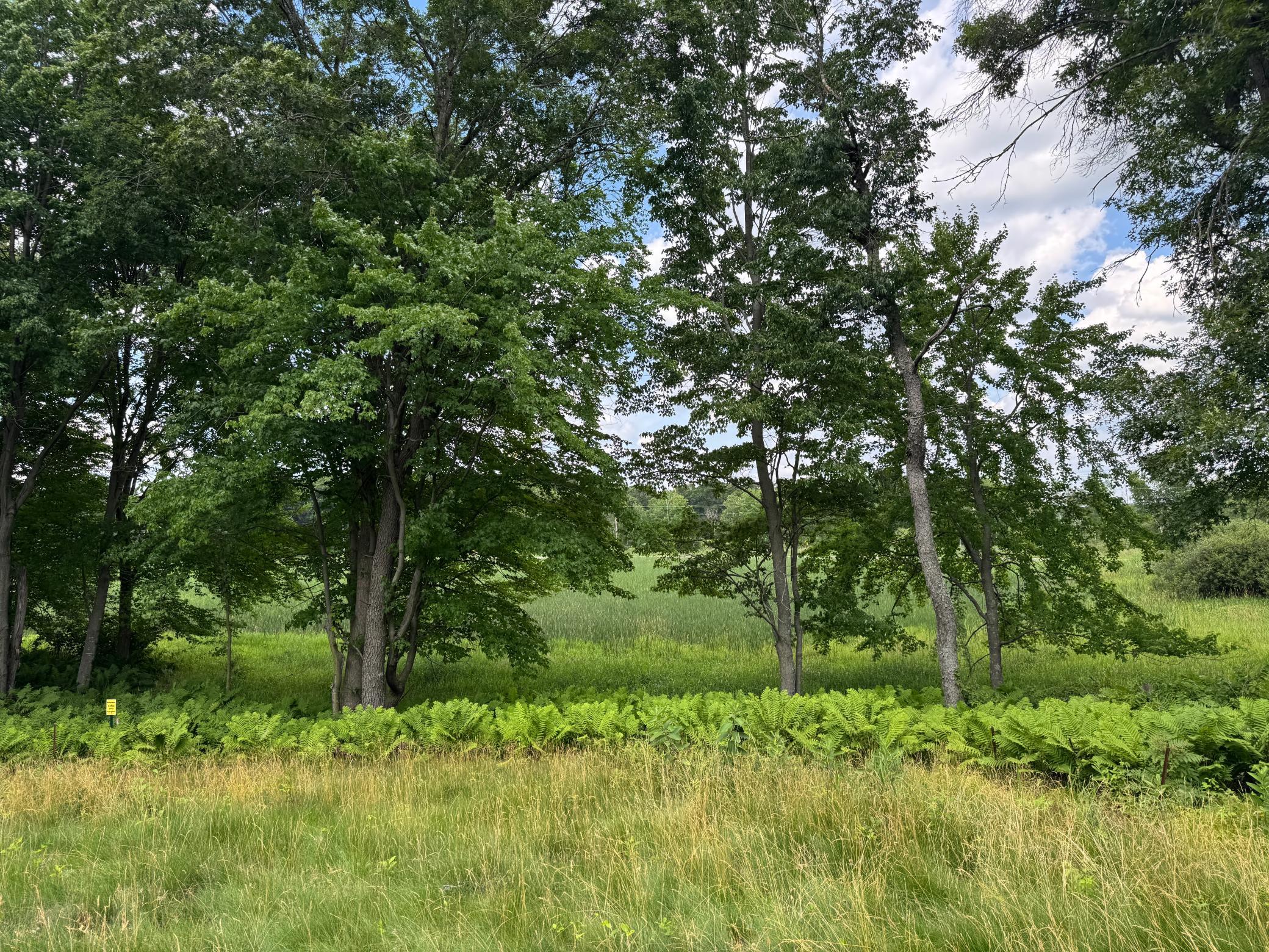 View of Land at 355 176th Lane, Ham Lake MN 55304, Ham Lake (8 of 12) - Mike Wilen | Minnesota Team Real Estate