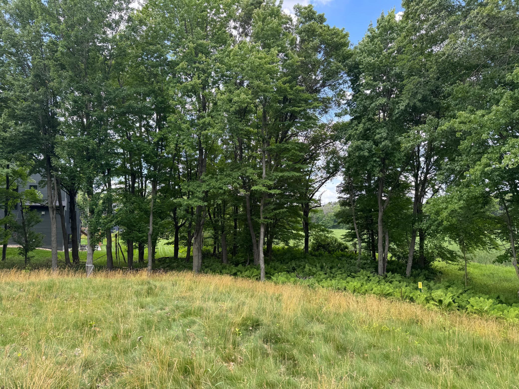 View of Land at 355 176th Lane, Ham Lake MN 55304, Ham Lake (7 of 12) - Mike Wilen | Minnesota Team Real Estate