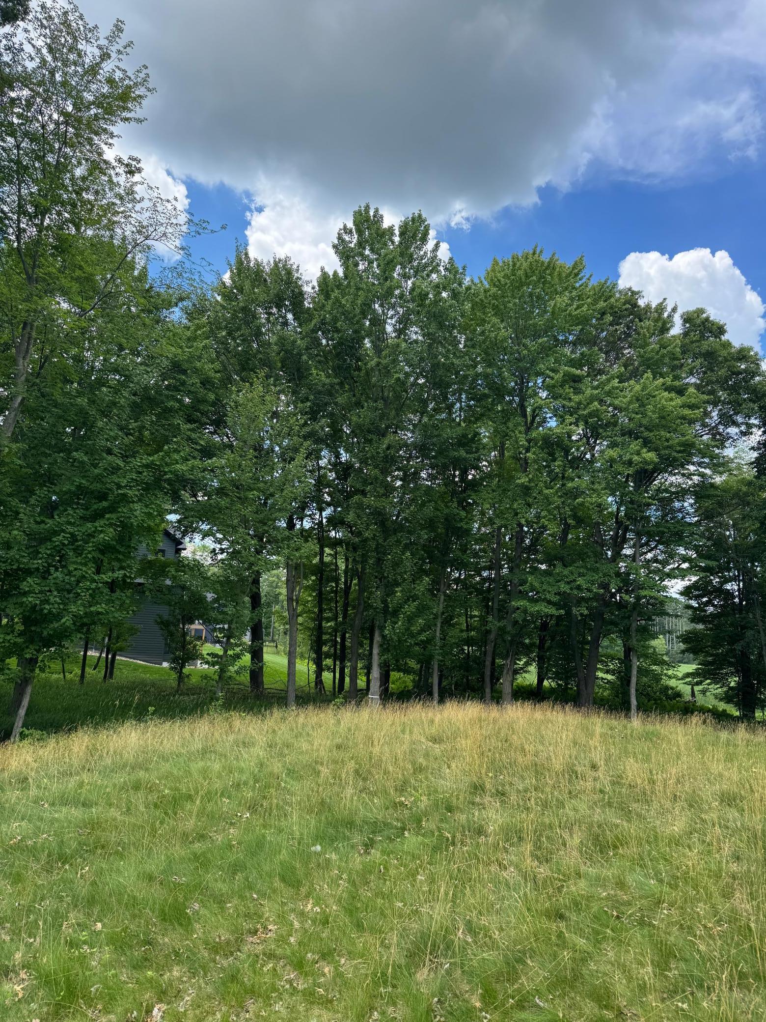 View of Land at 355 176th Lane, Ham Lake MN 55304, Ham Lake (5 of 12) - Mike Wilen | Minnesota Team Real Estate