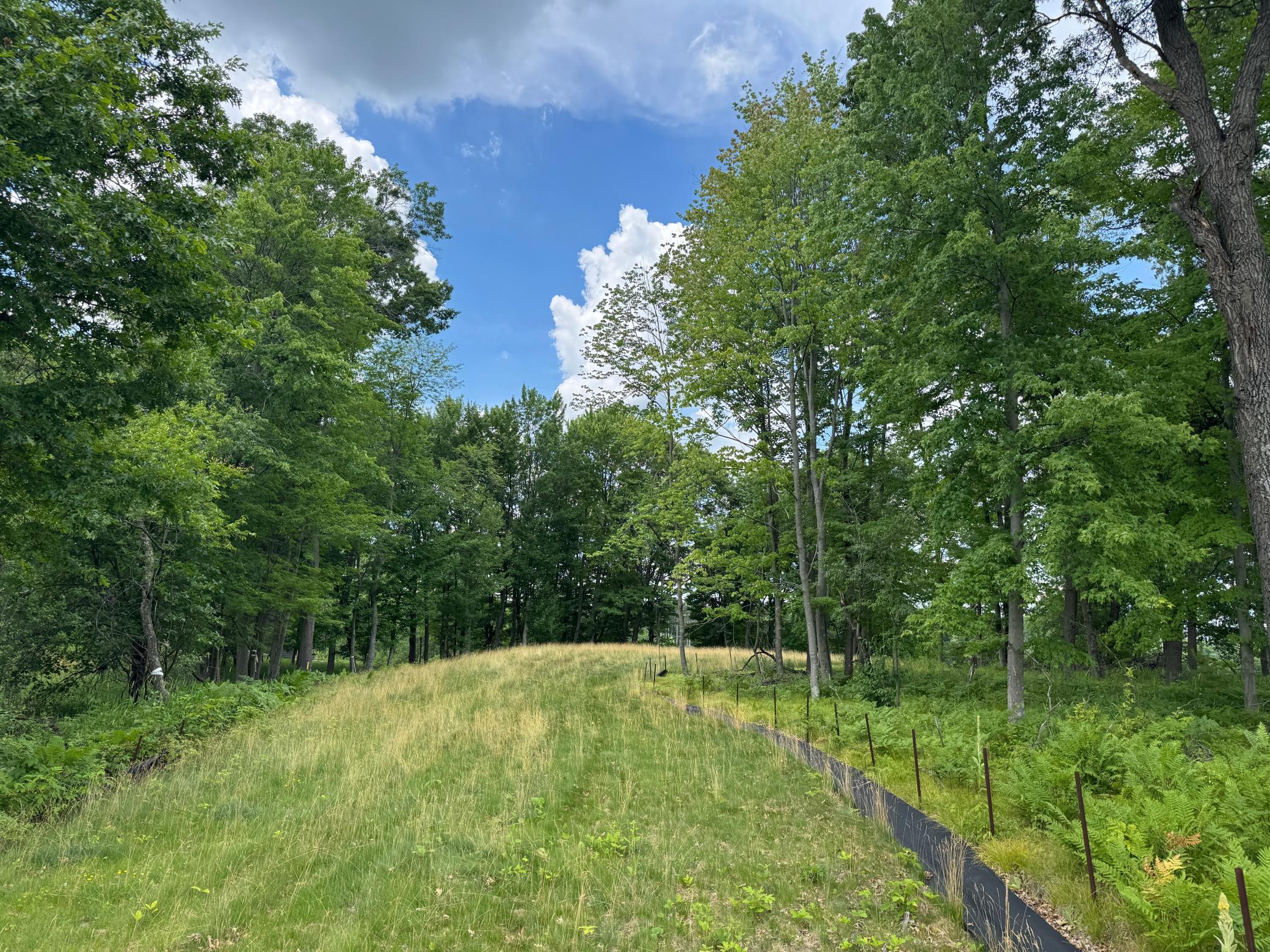 View of Land at 355 176th Lane, Ham Lake MN 55304, Ham Lake (4 of 12) - Mike Wilen | Minnesota Team Real Estate