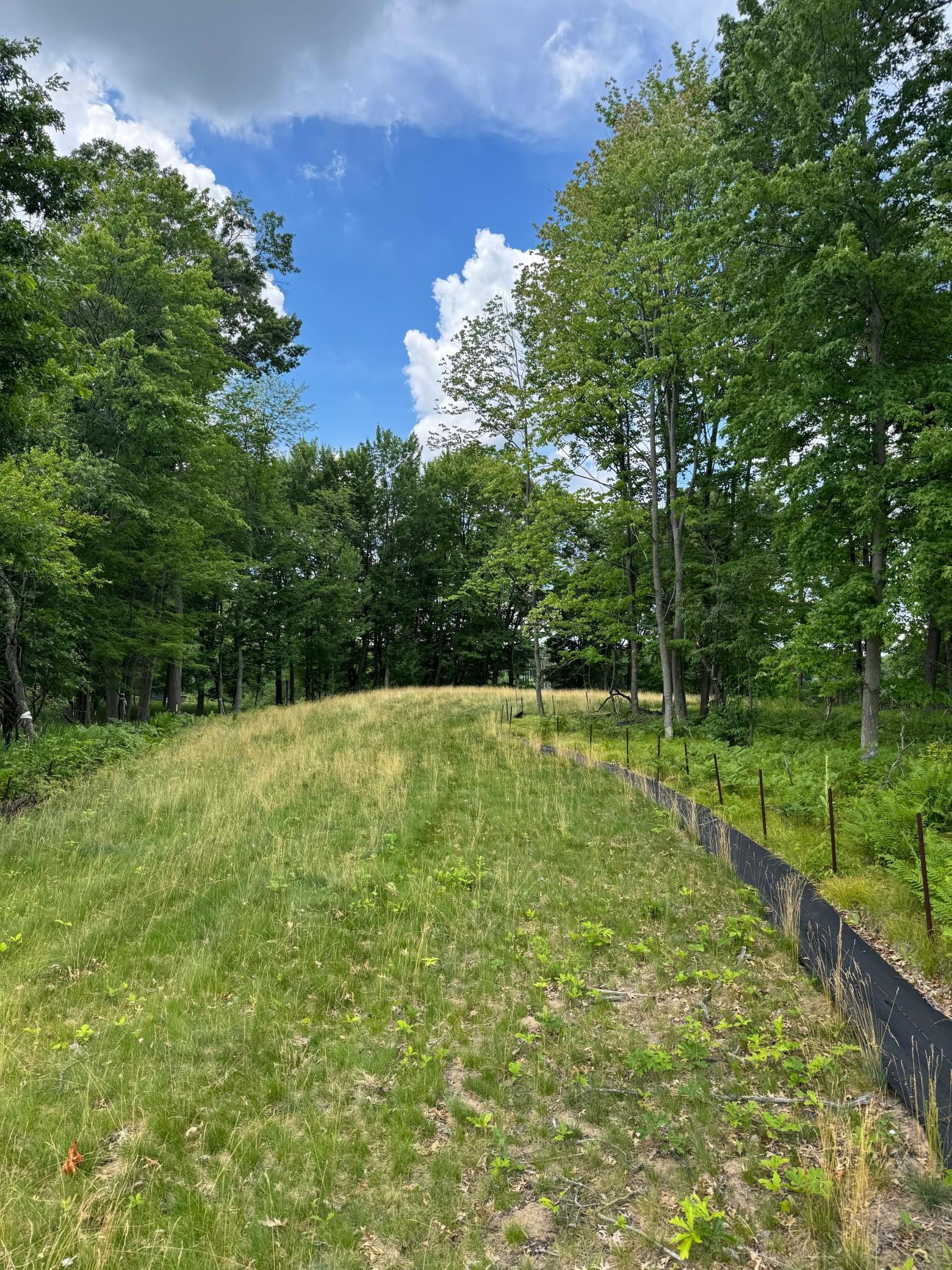 View of Land at 355 176th Lane, Ham Lake MN 55304, Ham Lake (3 of 12) - Mike Wilen | Minnesota Team Real Estate