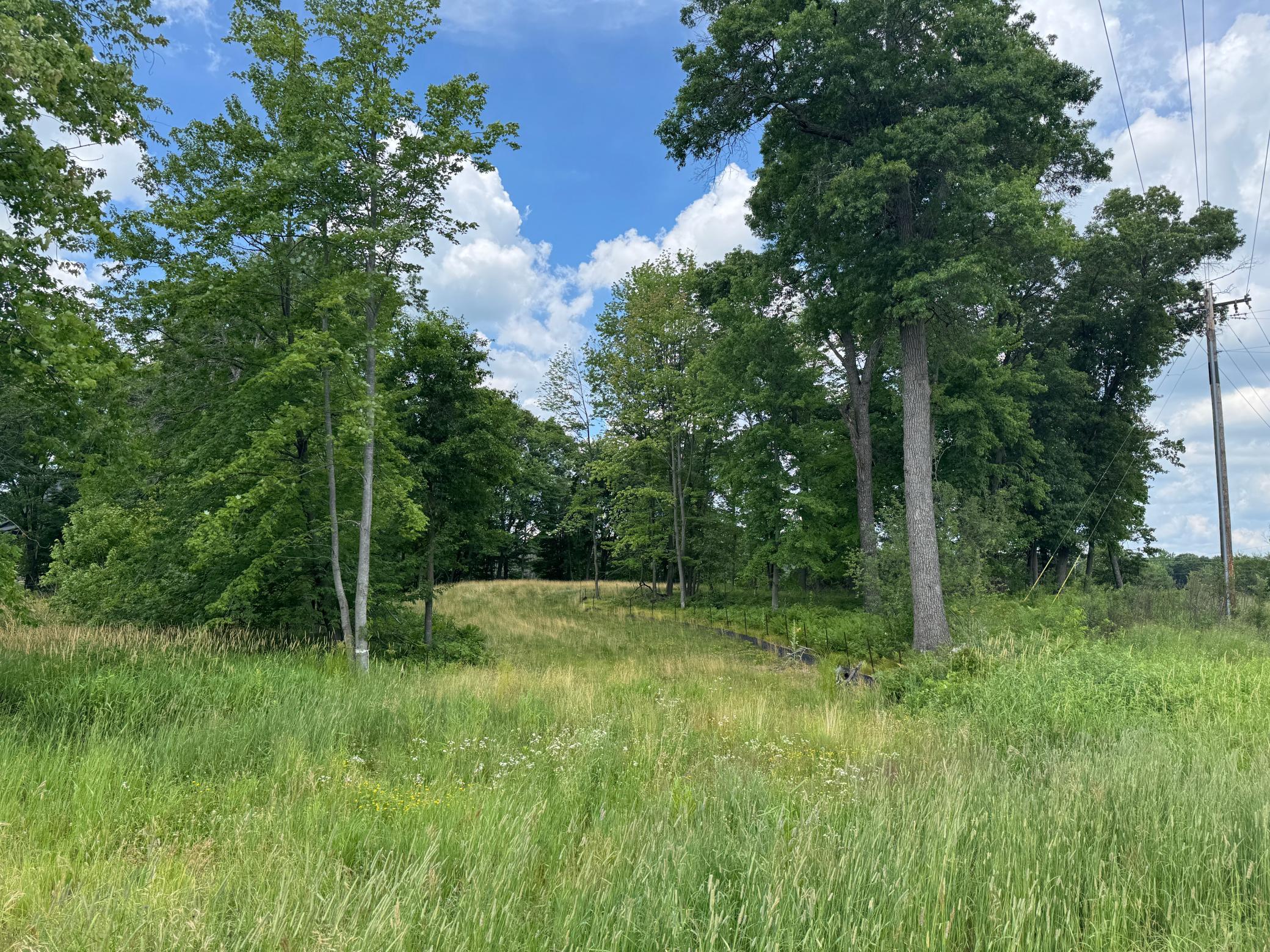 View of Land at 355 176th Lane, Ham Lake MN 55304, Ham Lake (2 of 12) - Mike Wilen | Minnesota Team Real Estate