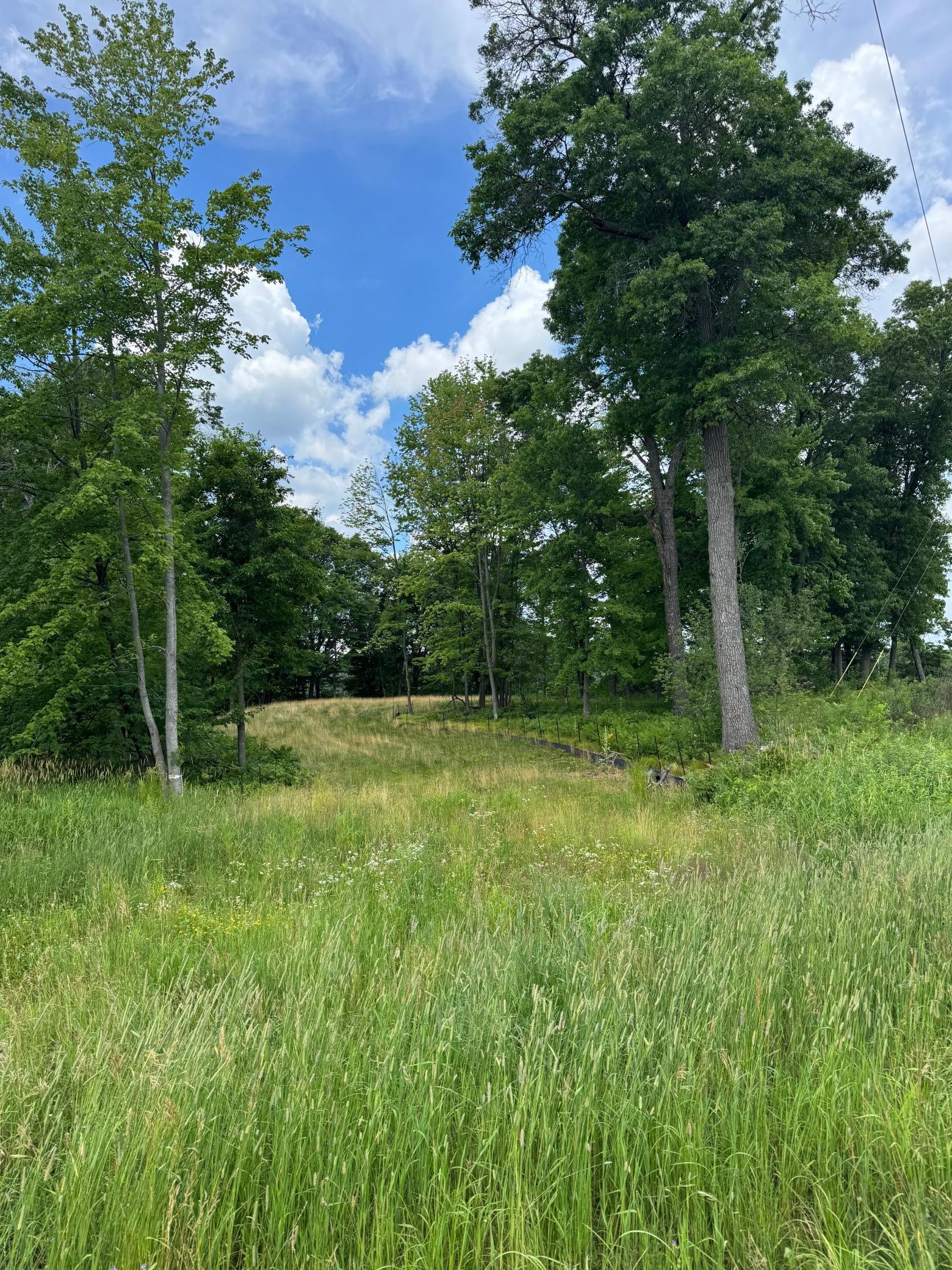 View of Land at 355 176th Lane, Ham Lake MN 55304, Ham Lake - Mike Wilen | Minnesota Team Real Estate