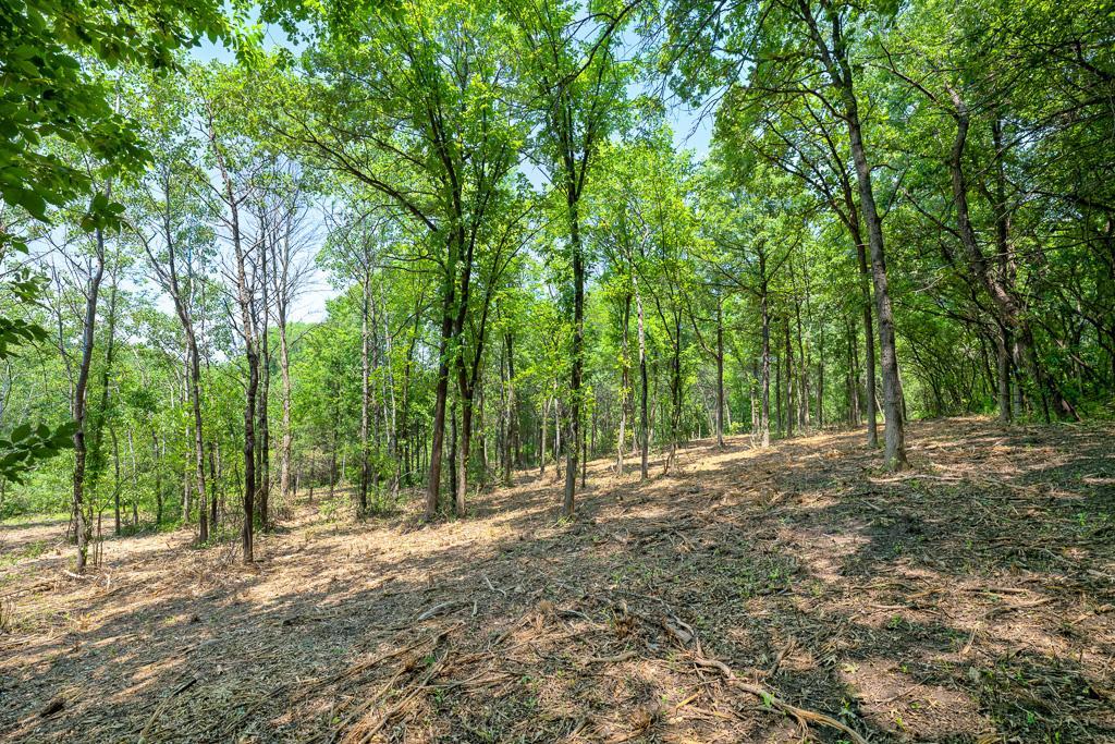 View of Land at xxxx 82nd Street East, Inver Grove Heights MN 55077, Inver Grove Heights - Mike Wilen | Minnesota Team Real Estate