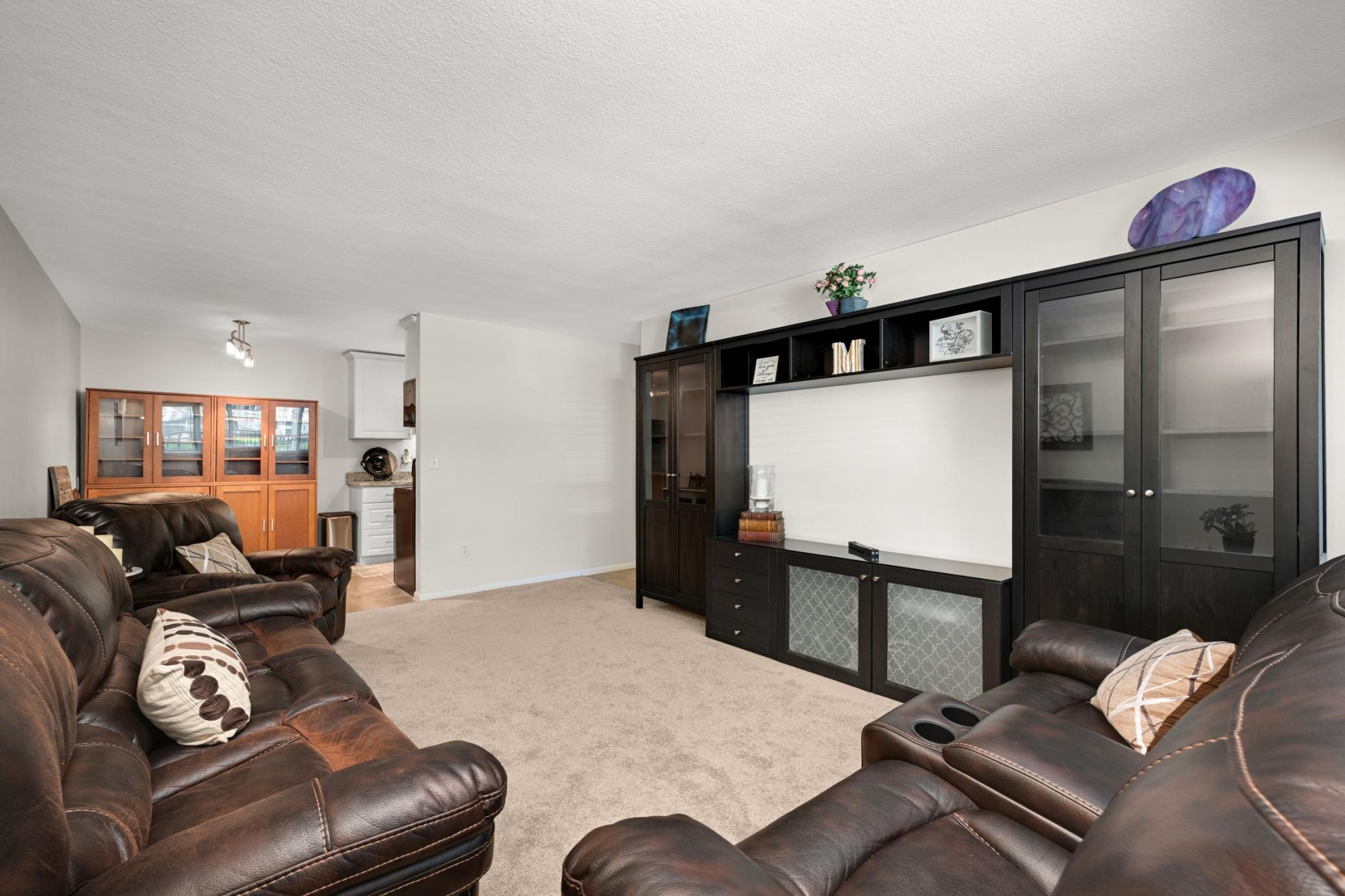 View of Residential at 1901 Emerson Avenue #104, Minneapolis MN 55403, Minneapolis (21 of 45) - Mike Wilen | Minnesota Team Real Estate