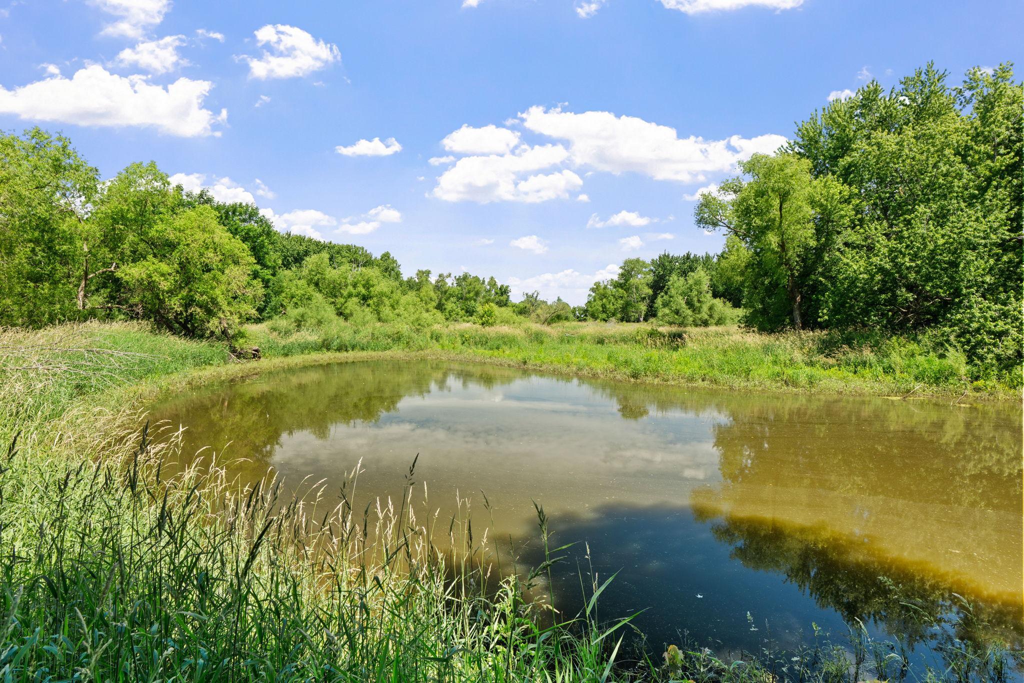 View of Residential at 15790 78th Street, Mayer MN 55360, Mayer (13 of 70) - Mike Wilen | Minnesota Team Real Estate