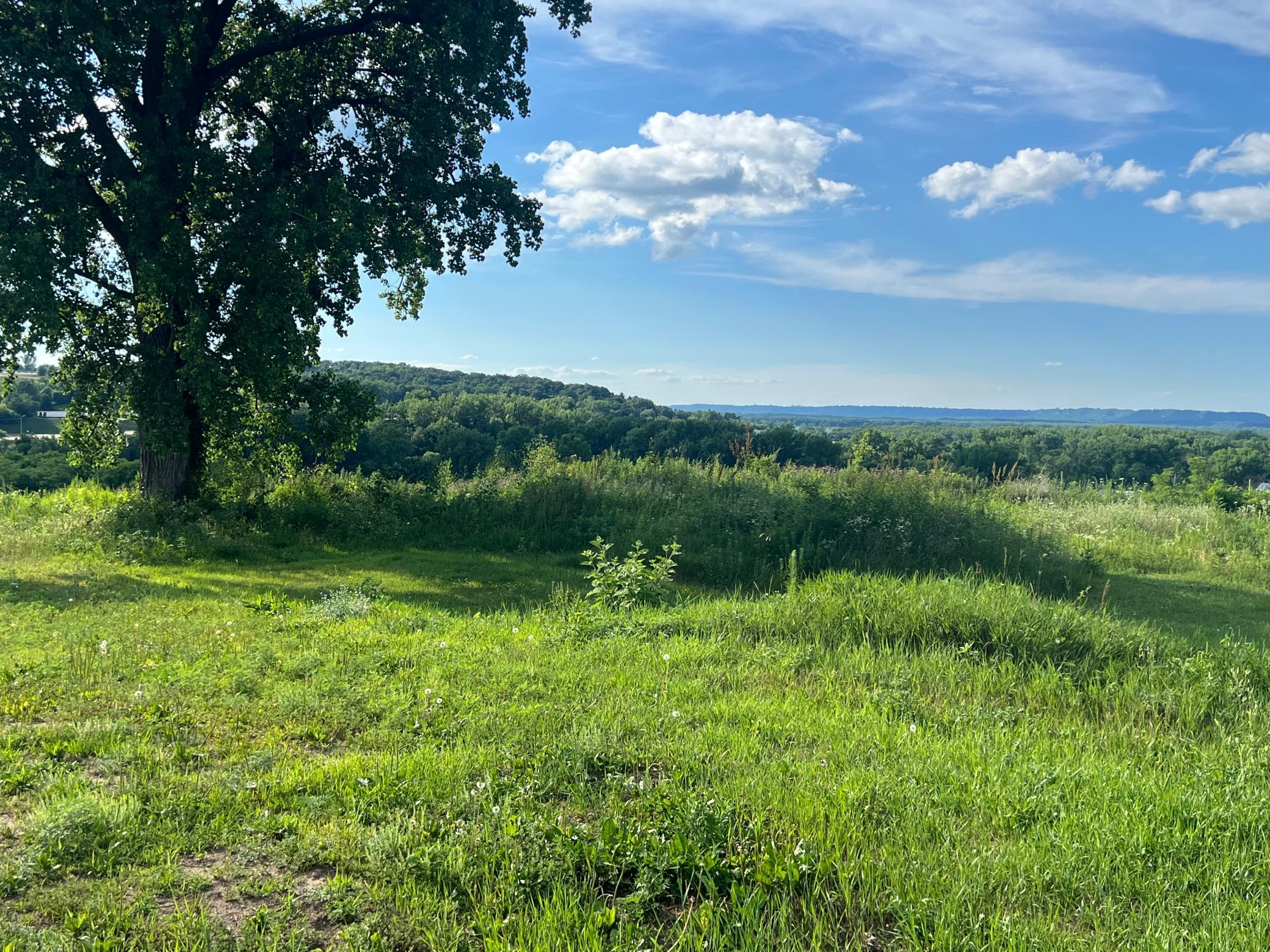 View of Land at 1330 Hillside Drive, Red Wing MN 55066, Red Wing - Mike Wilen | Minnesota Team Real Estate