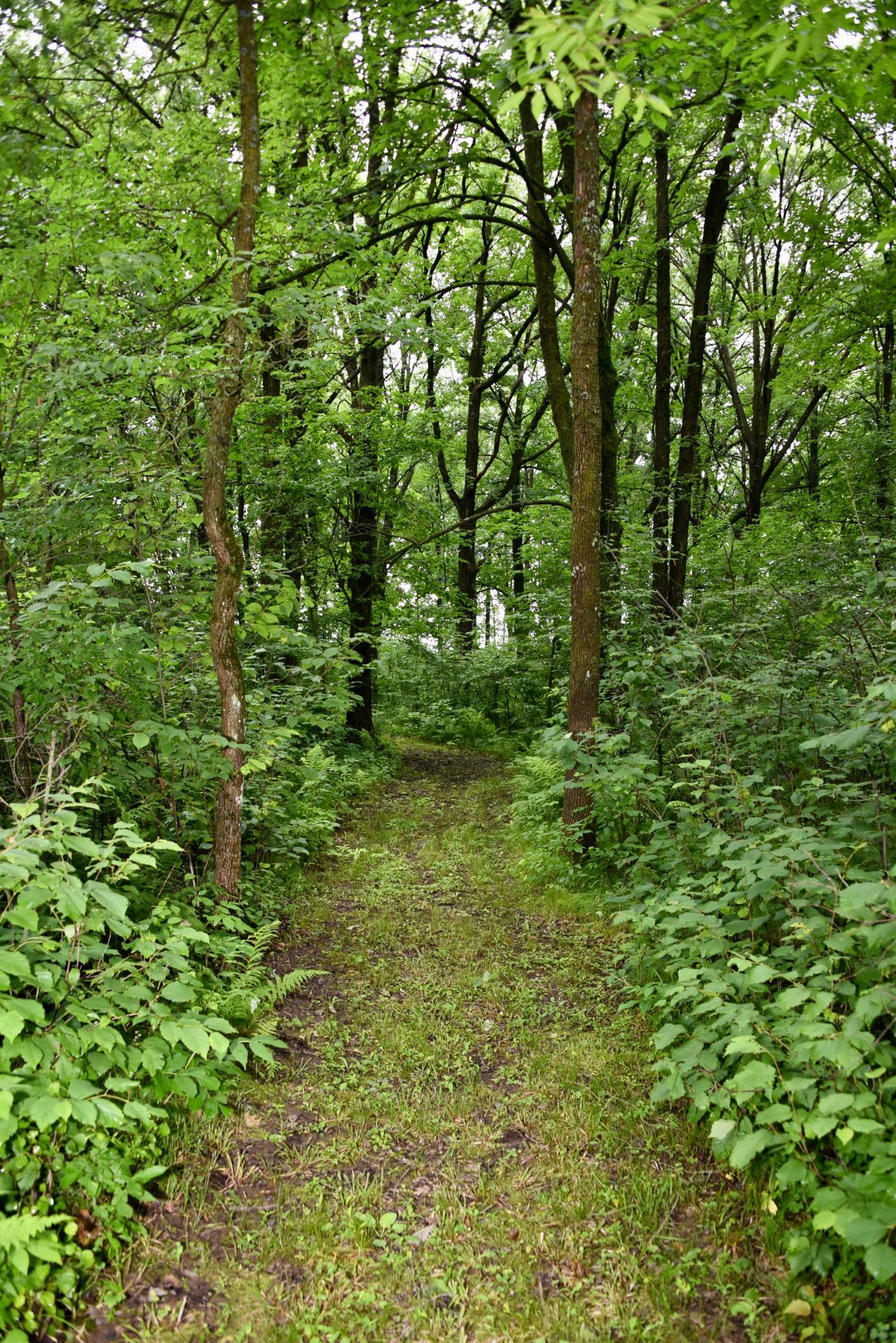 View of Residential at 13591 230th Street, Milaca MN 56353, Milaca (82 of 110) - Mike Wilen | Minnesota Team Real Estate