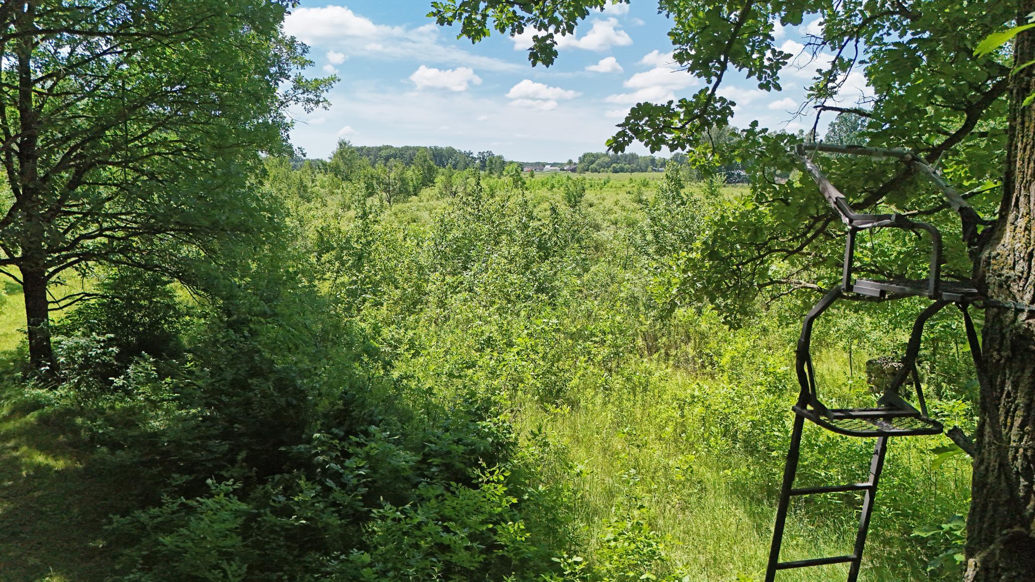 View of Residential at 13591 230th Street, Milaca MN 56353, Milaca (87 of 110) - Mike Wilen | Minnesota Team Real Estate
