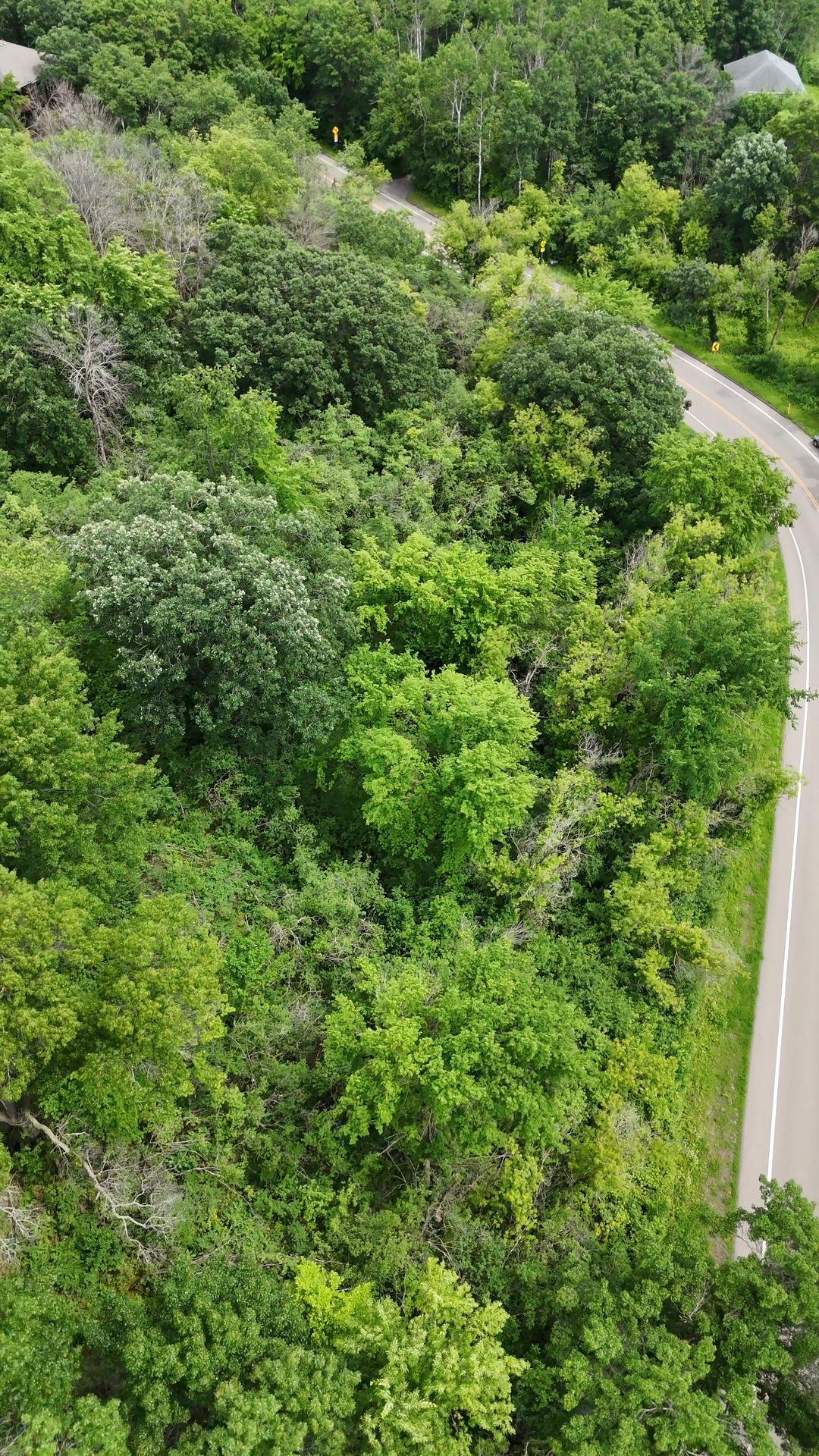 View of Land at 2685 Carver Avenue, Maplewood MN 55119, Maplewood (6 of 18) - Mike Wilen | Minnesota Team Real Estate