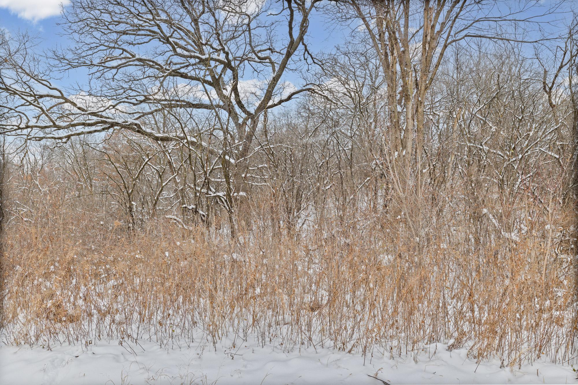 View of Land at 2685 Carver Avenue, Maplewood MN 55119, Maplewood (14 of 18) - Mike Wilen | Minnesota Team Real Estate