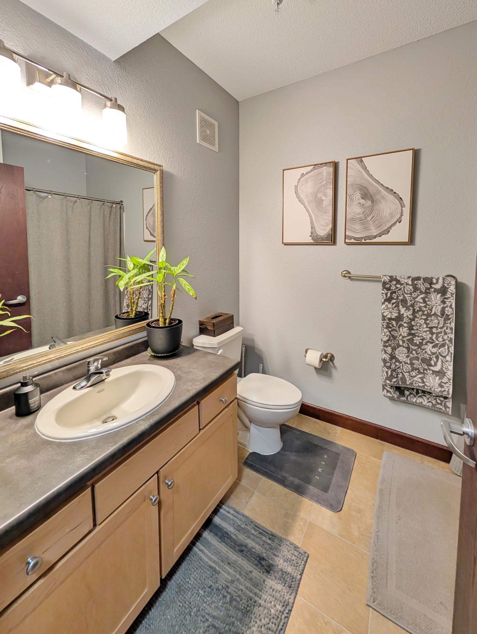 View of Residential at 308 18th Street #305, Minneapolis MN 55404, Minneapolis (9 of 42) - Mike Wilen | Minnesota Team Real Estate