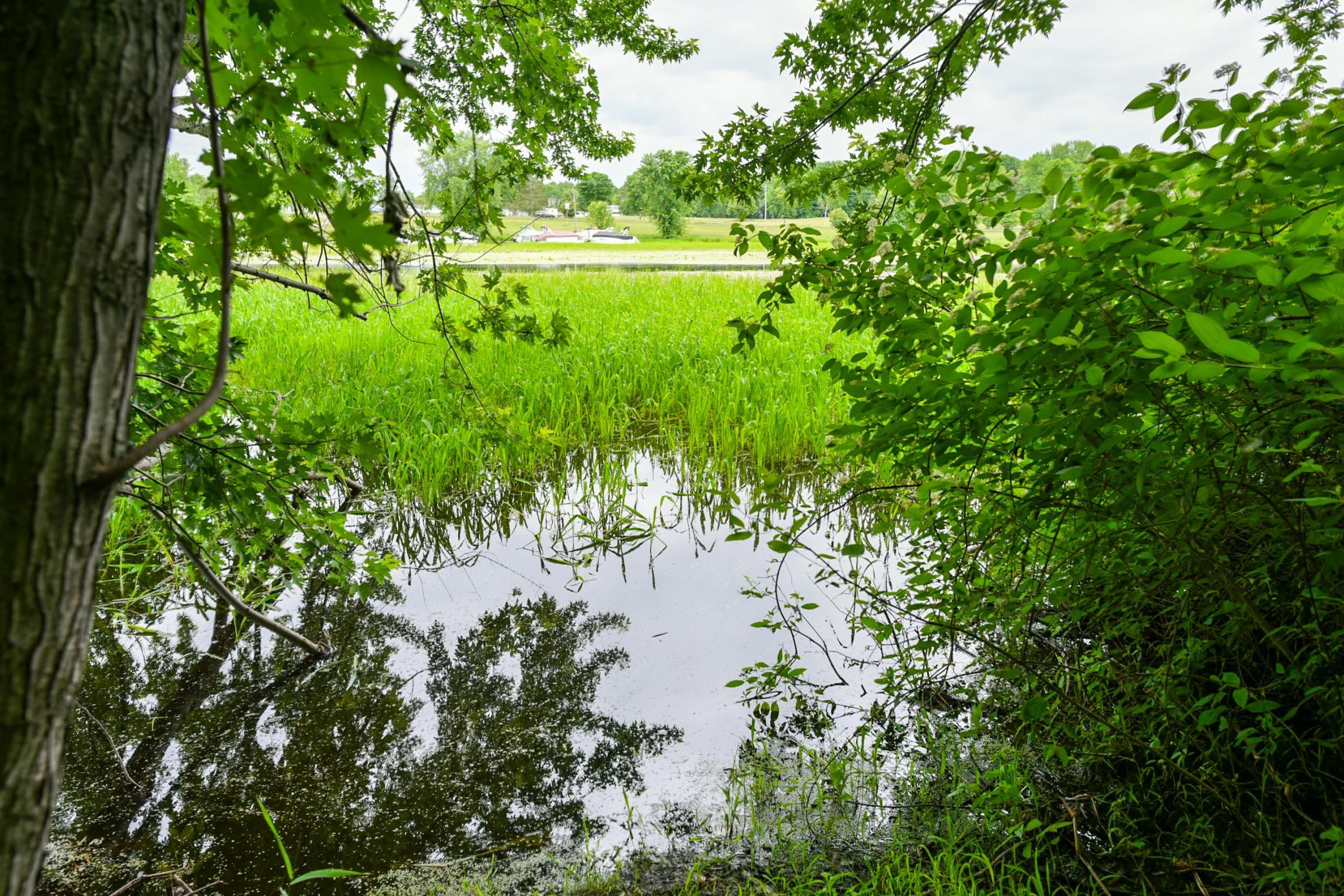 View of Land at 19231 Highwood Shores Road, Pine City MN 55063, Pine City (7 of 16) - Mike Wilen | Minnesota Team Real Estate
