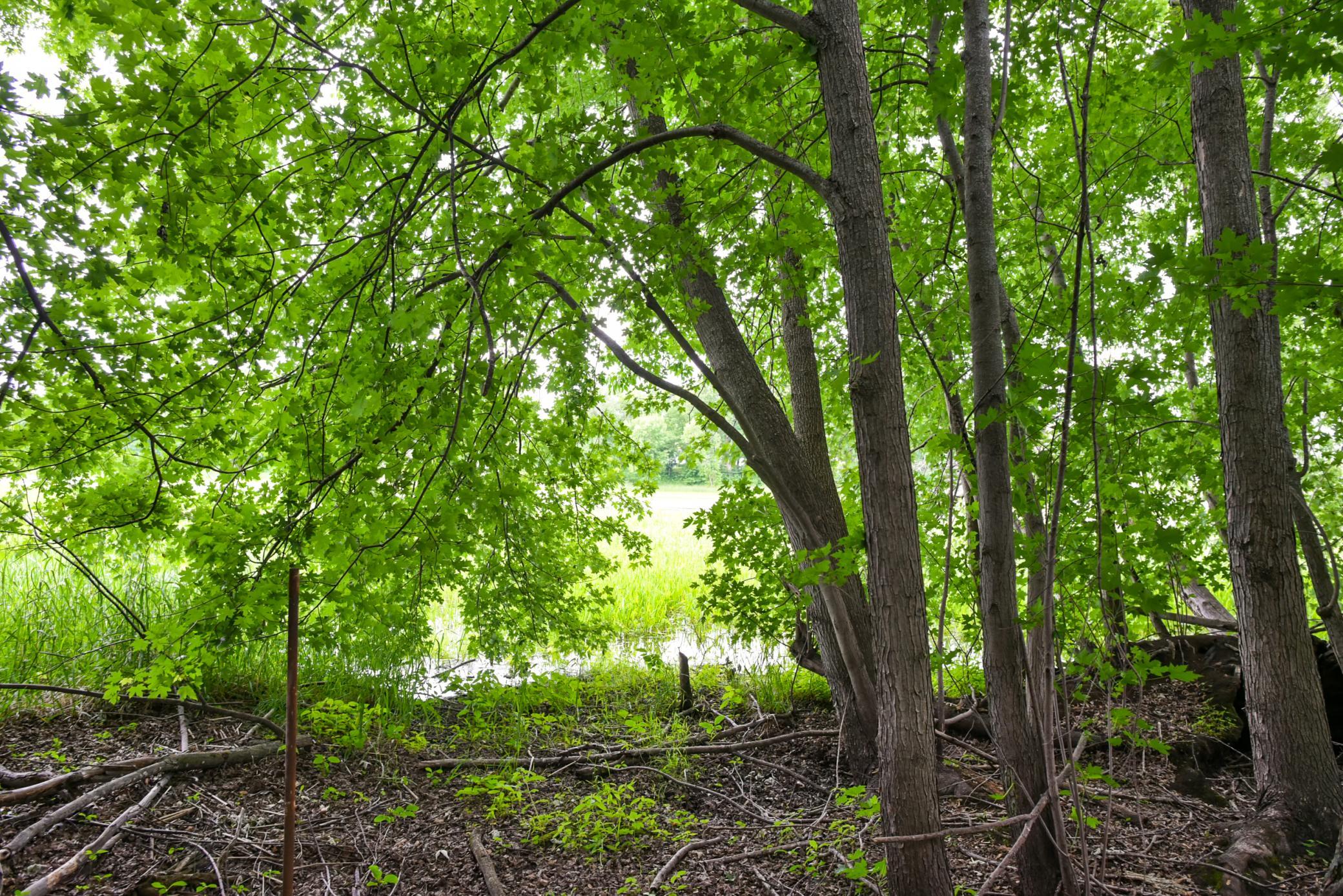 View of Land at 19231 Highwood Shores Road, Pine City MN 55063, Pine City (5 of 16) - Mike Wilen | Minnesota Team Real Estate