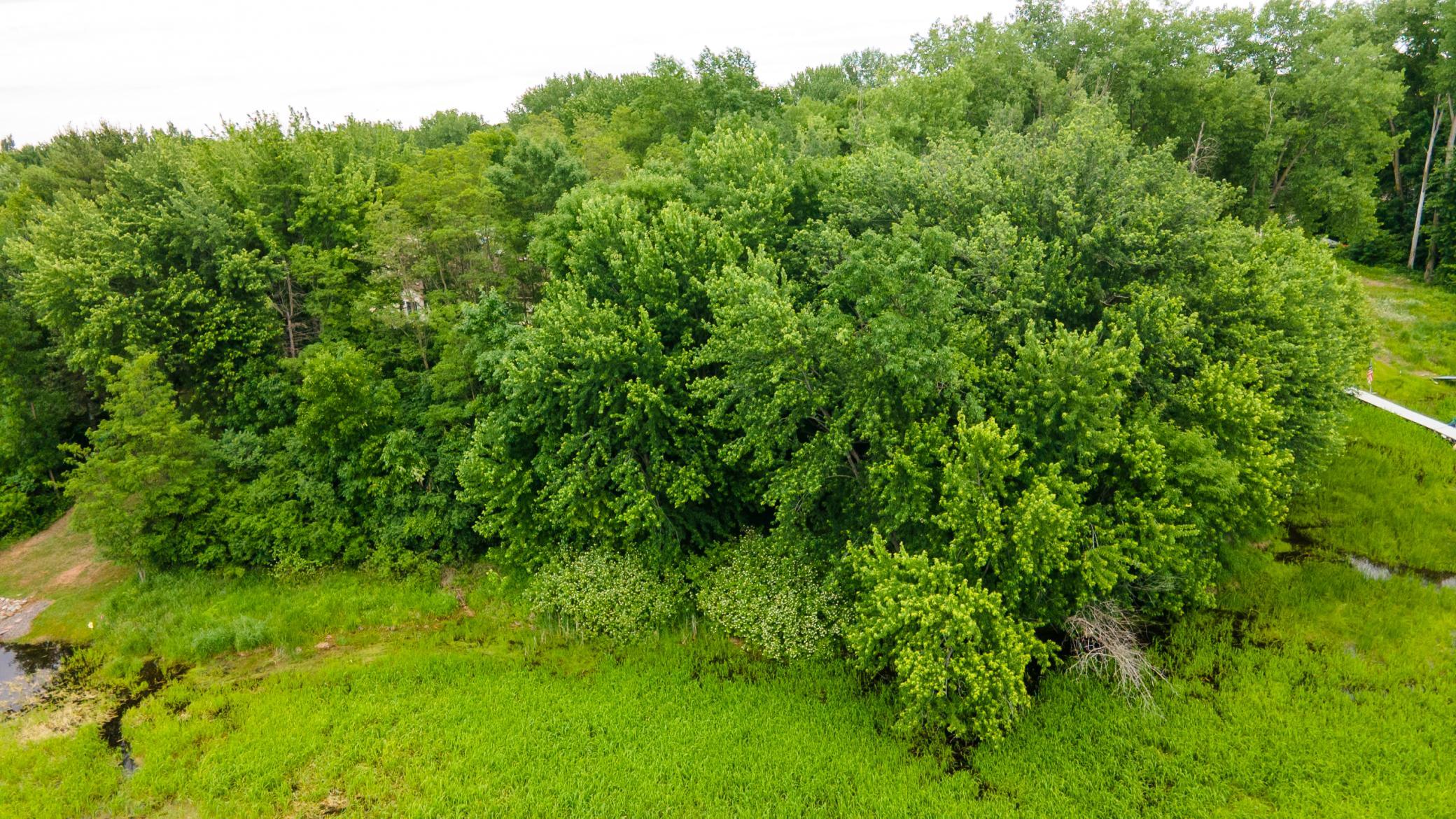 View of Land at 19231 Highwood Shores Road, Pine City MN 55063, Pine City (8 of 16) - Mike Wilen | Minnesota Team Real Estate