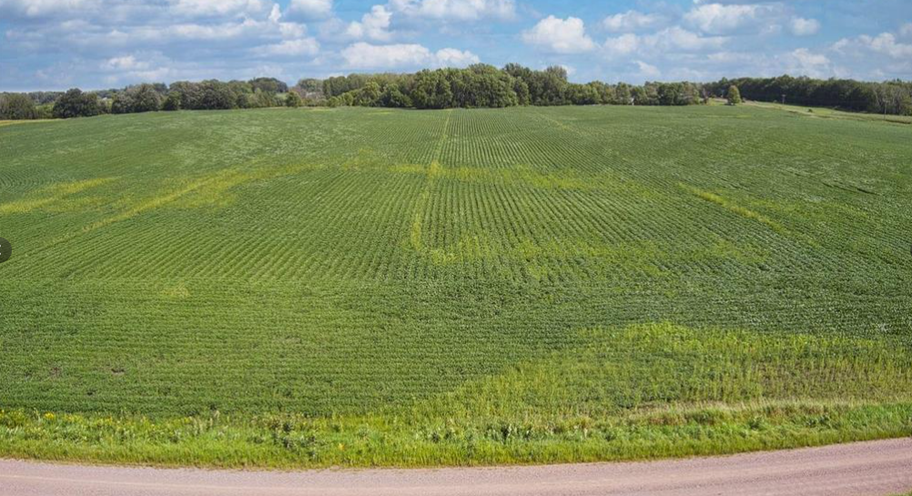 View of Land at 8108 55th Avenue, Princeton MN 55371, Princeton (3 of 9) - Mike Wilen | Minnesota Team Real Estate