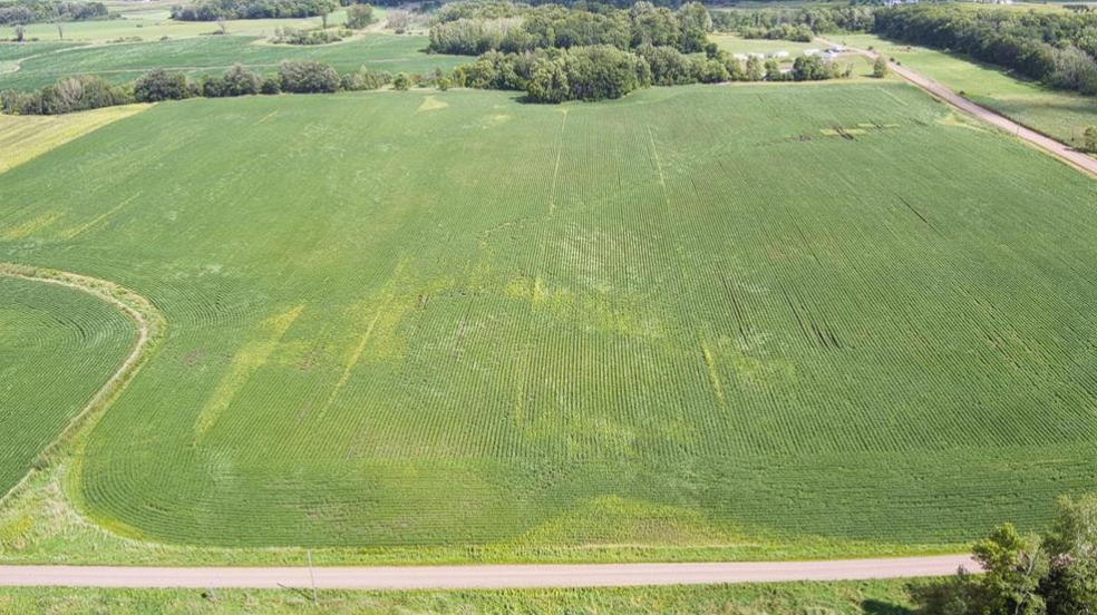 View of Land at 8108 55th Avenue, Princeton MN 55371, Princeton (4 of 9) - Mike Wilen | Minnesota Team Real Estate
