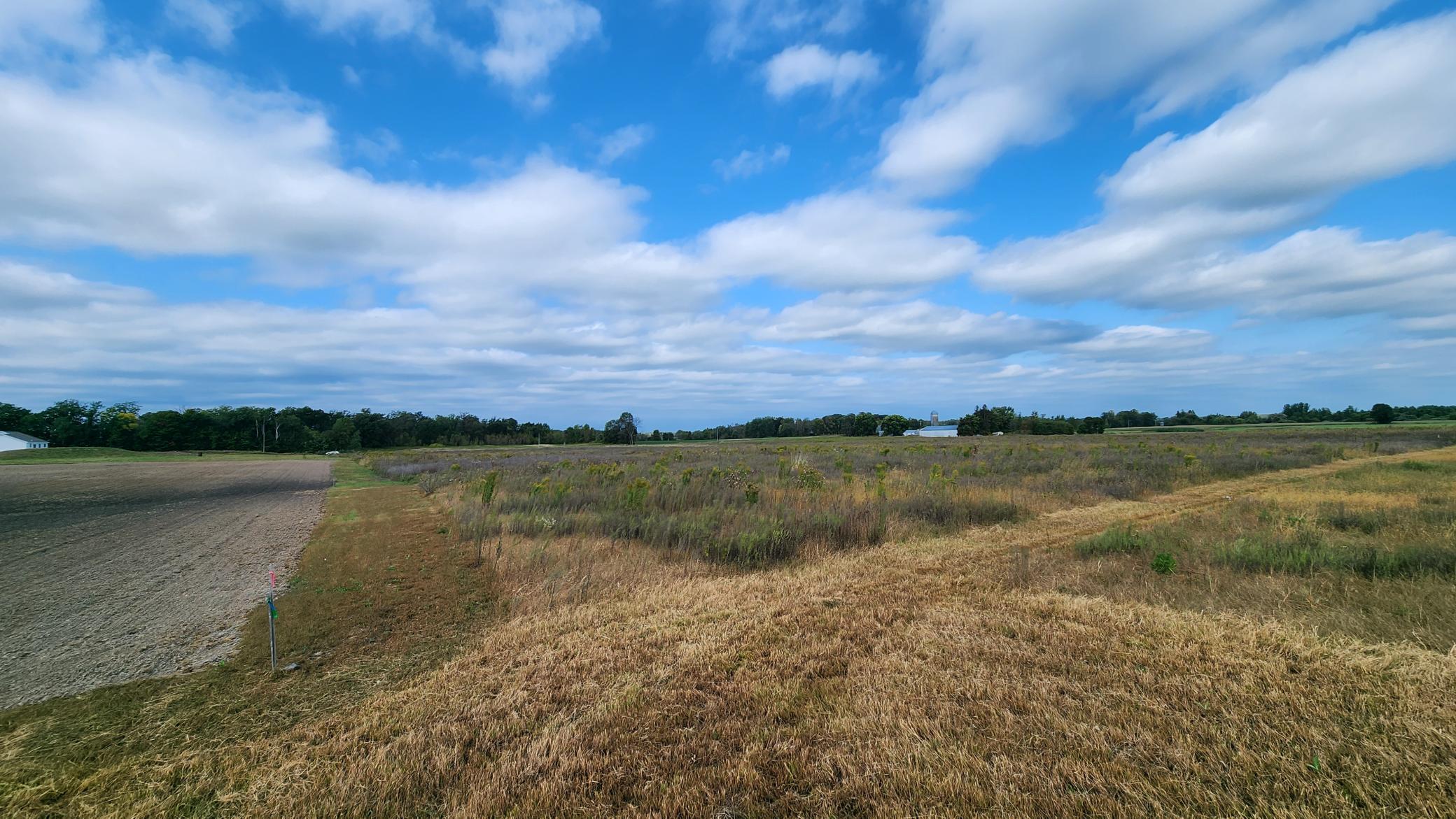 View of Land at 8108 55th Avenue, Princeton MN 55371, Princeton (6 of 9) - Mike Wilen | Minnesota Team Real Estate