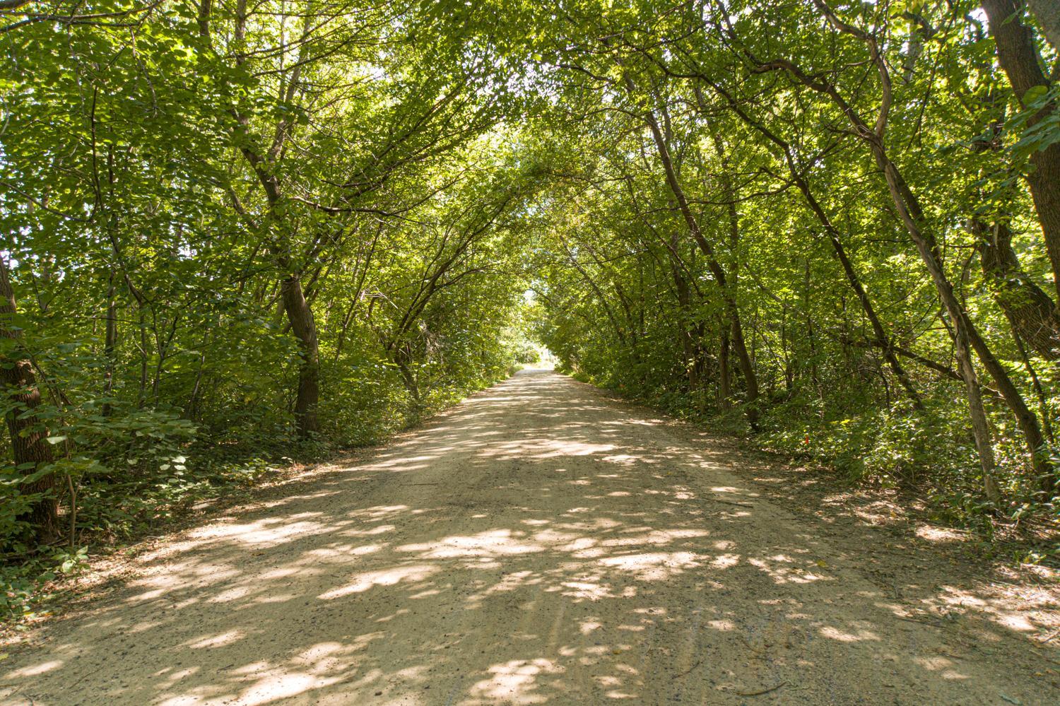 View of Land at 316xx Lot A Maria Avenue, Lindstrom MN 55045, Lindstrom (9 of 16) - Mike Wilen | Minnesota Team Real Estate