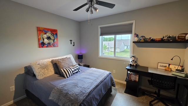 View of Residential at 1005 Main Street, Cleveland MN 56017, Cleveland (22 of 29) - Mike Wilen | Minnesota Team Real Estate