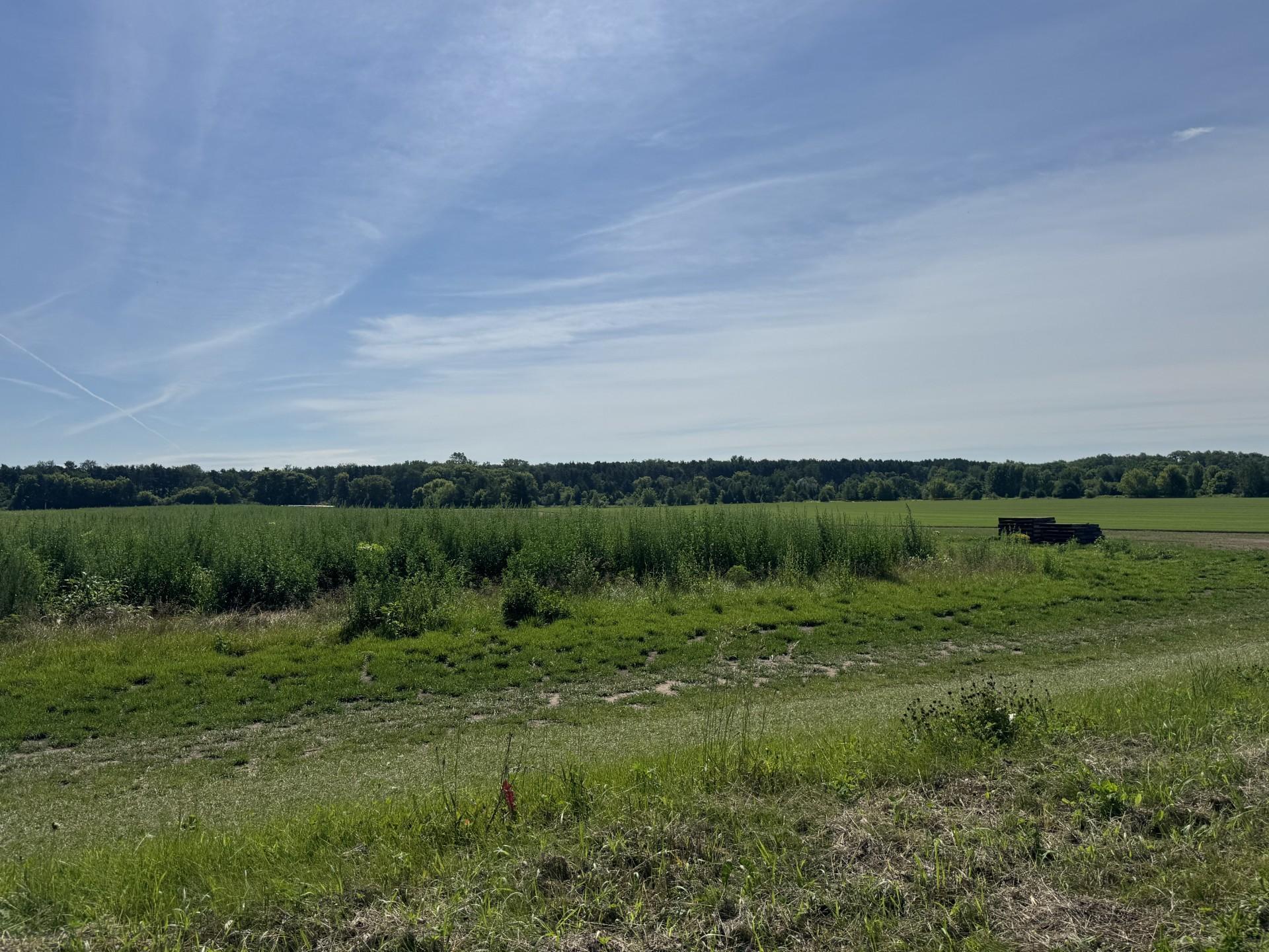 View of Land at Xxxx - Lot C Oakgreen Ave S, Afton MN 55001, Afton (9 of 13) - Mike Wilen | Minnesota Team Real Estate