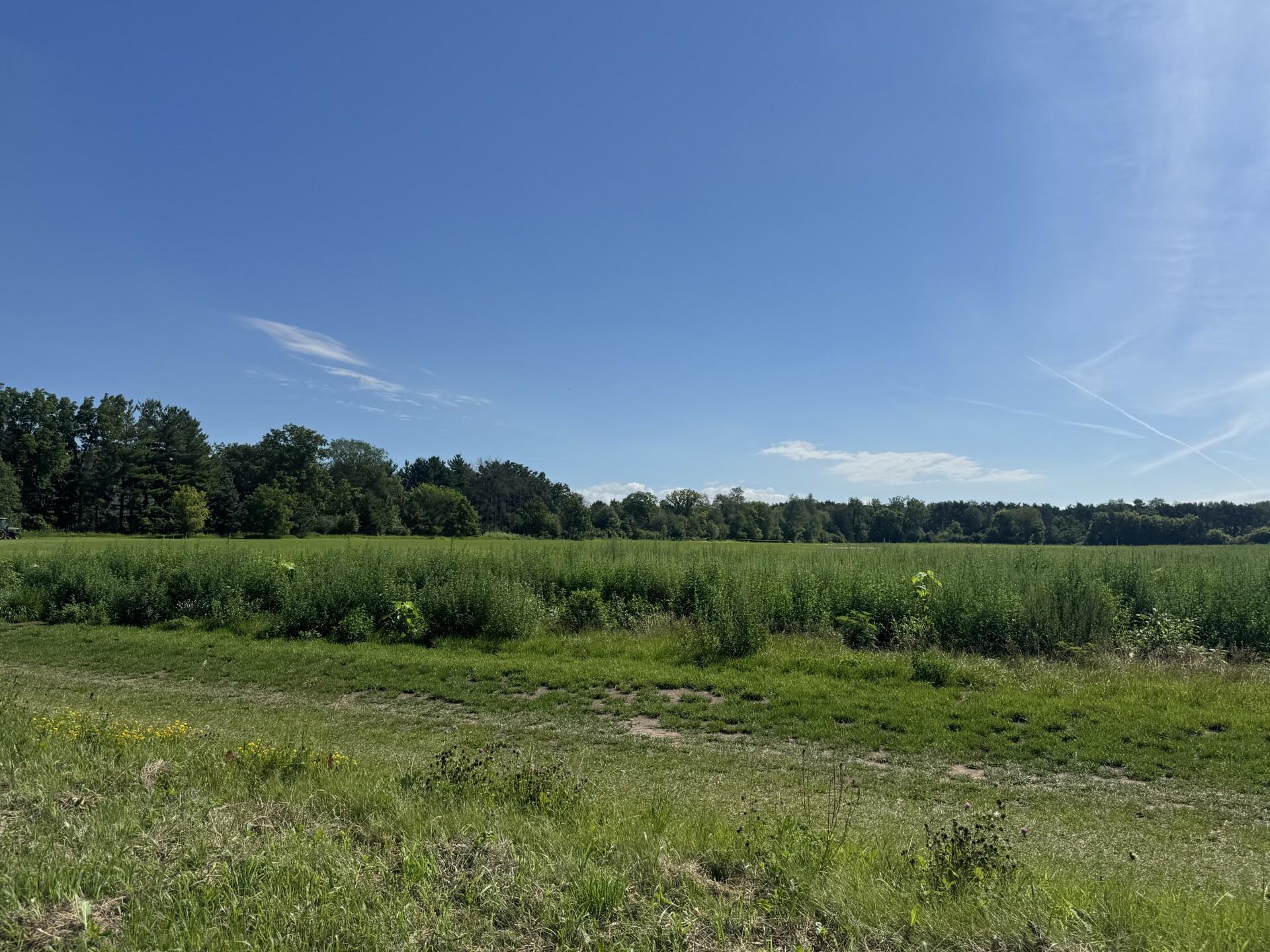 View of Land at Xxxx - Lot C Oakgreen Ave S, Afton MN 55001, Afton (8 of 13) - Mike Wilen | Minnesota Team Real Estate