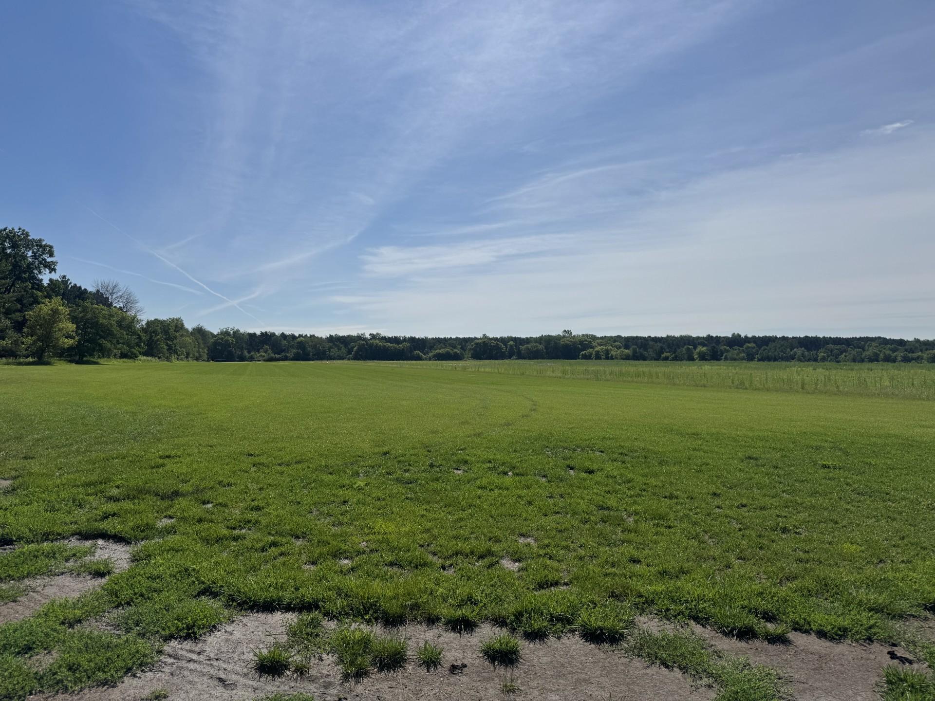 View of Land at Xxxx - Lot C Oakgreen Ave S, Afton MN 55001, Afton (3 of 13) - Mike Wilen | Minnesota Team Real Estate