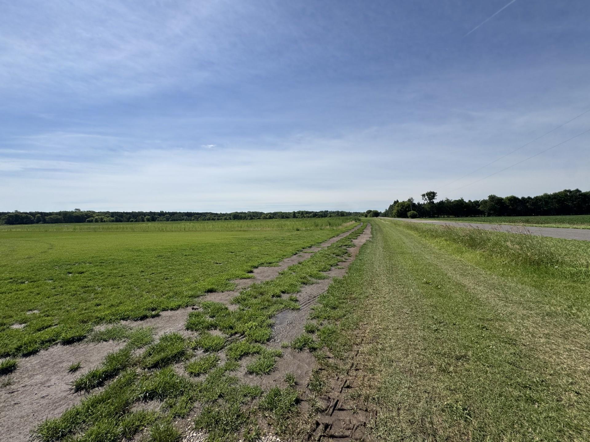 View of Land at Xxxx - Lot C Oakgreen Ave S, Afton MN 55001, Afton (4 of 13) - Mike Wilen | Minnesota Team Real Estate
