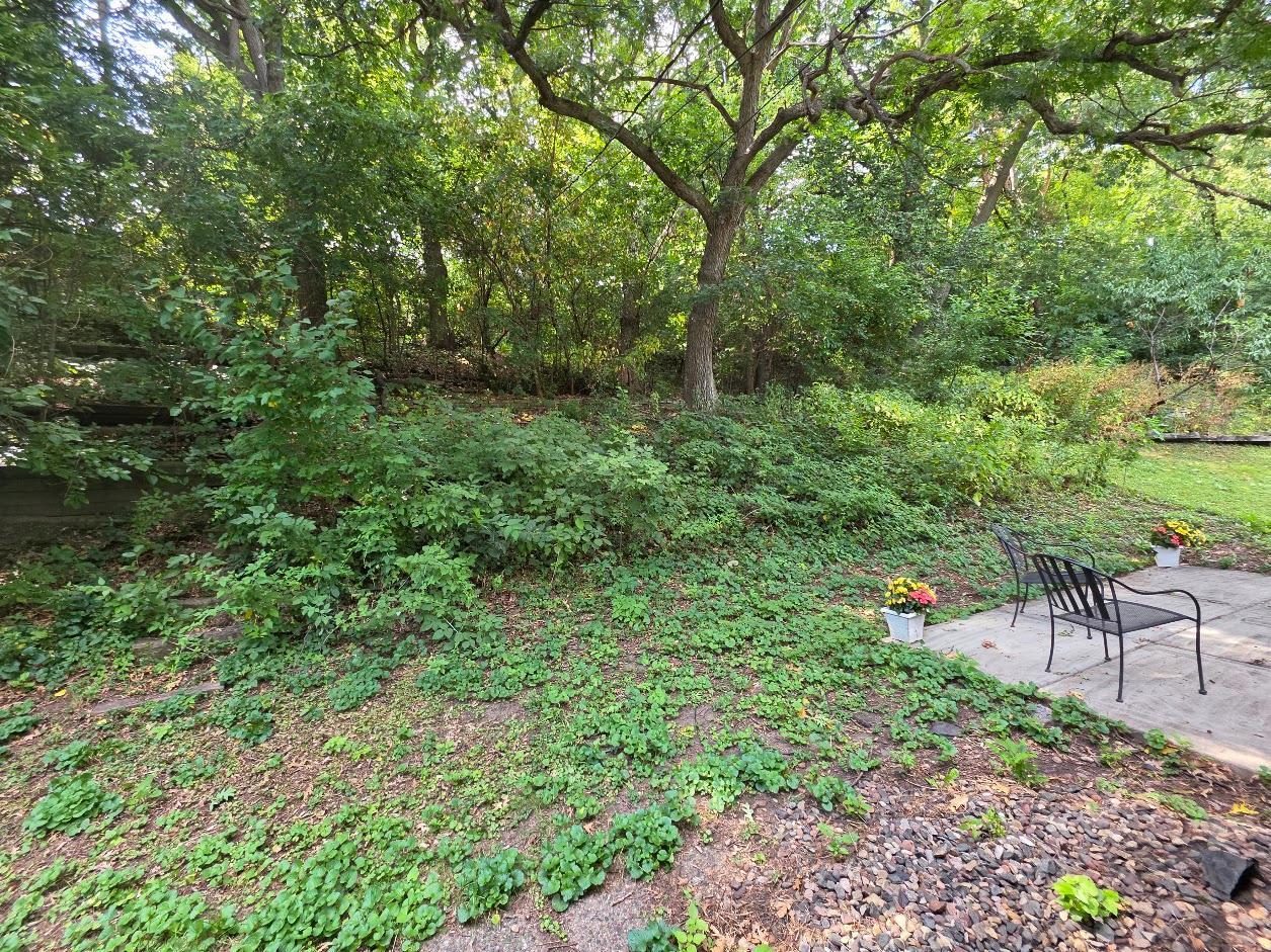 View of Residential at 1644 Kilmer Avenue, Saint Louis Park MN 55426, Saint Louis Park (19 of 25) - Mike Wilen | Minnesota Team Real Estate