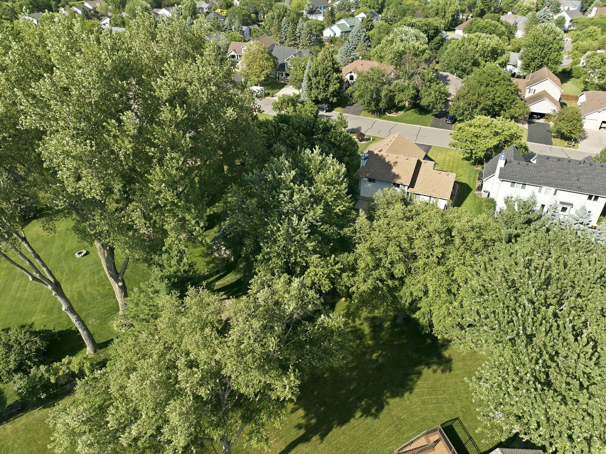 View of Residential at 1222 Fallbrook Lane, Woodbury MN 55125, Woodbury (47 of 52) - Mike Wilen | Minnesota Team Real Estate