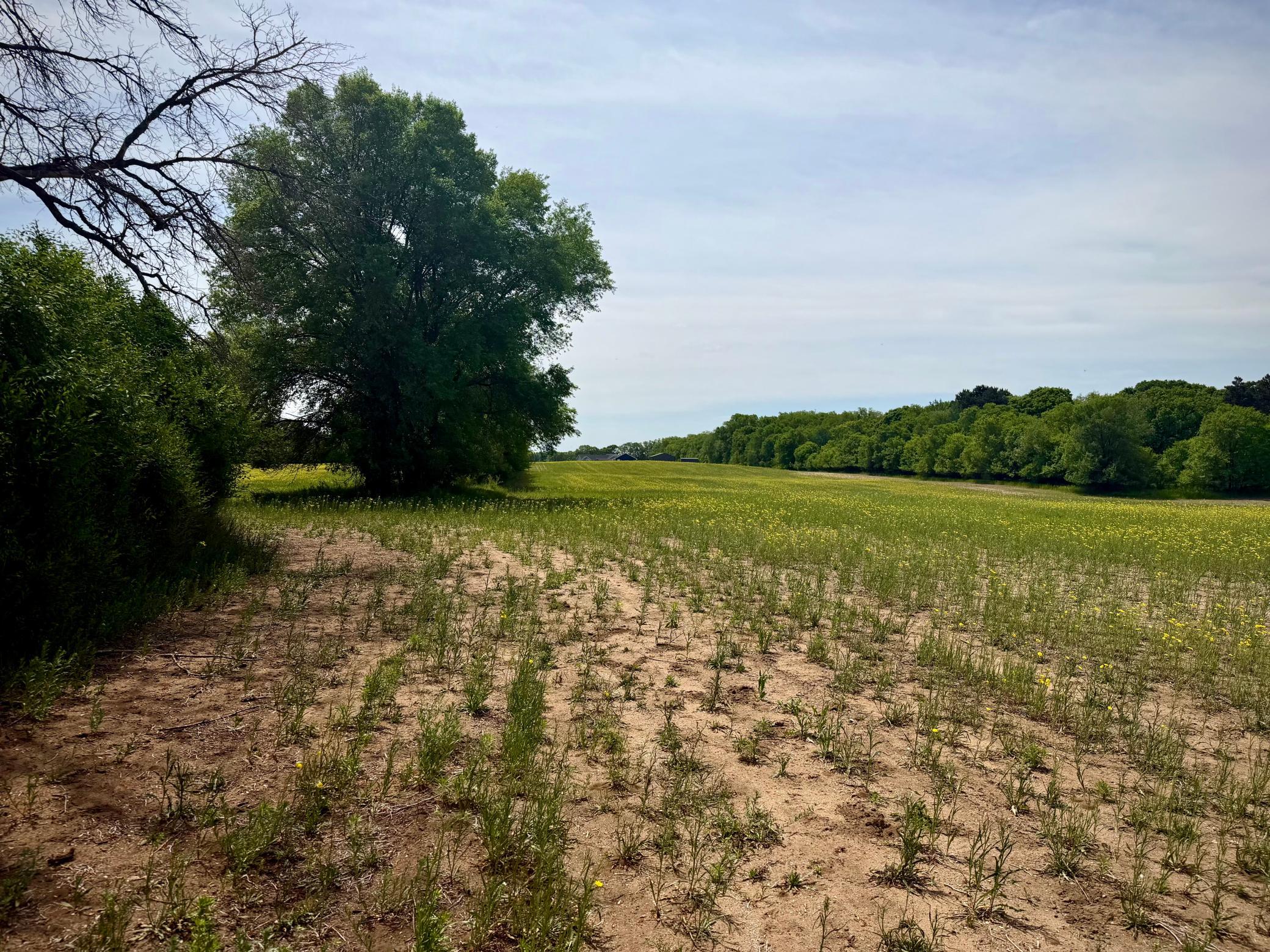 View of Land at TBD-10AC 87th Street, Becker MN 55308, Becker - Mike Wilen | Minnesota Team Real Estate