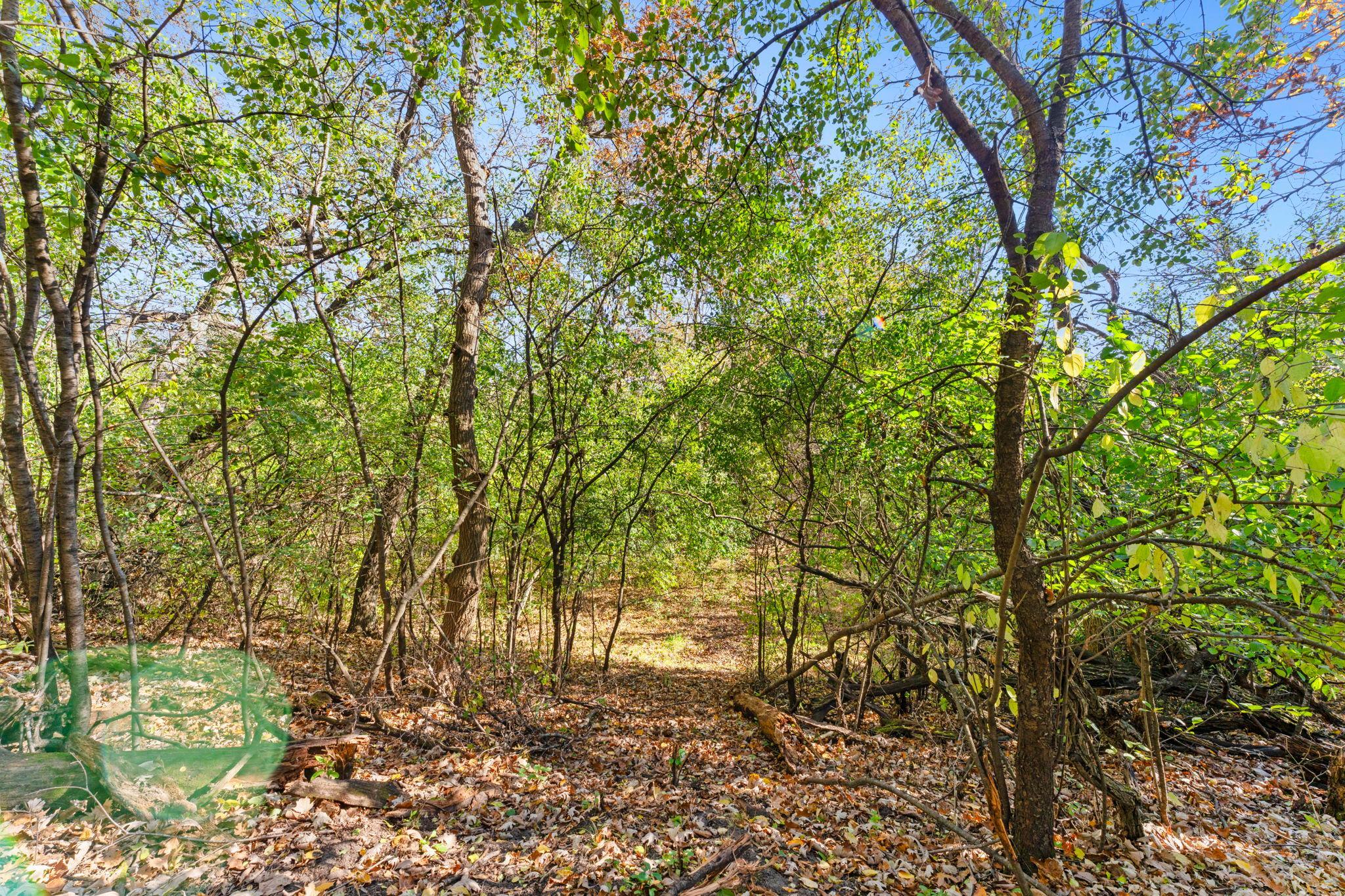 View of Residential at 4301 392nd Street, North Branch MN 55056, North Branch (41 of 59) - Mike Wilen | Minnesota Team Real Estate